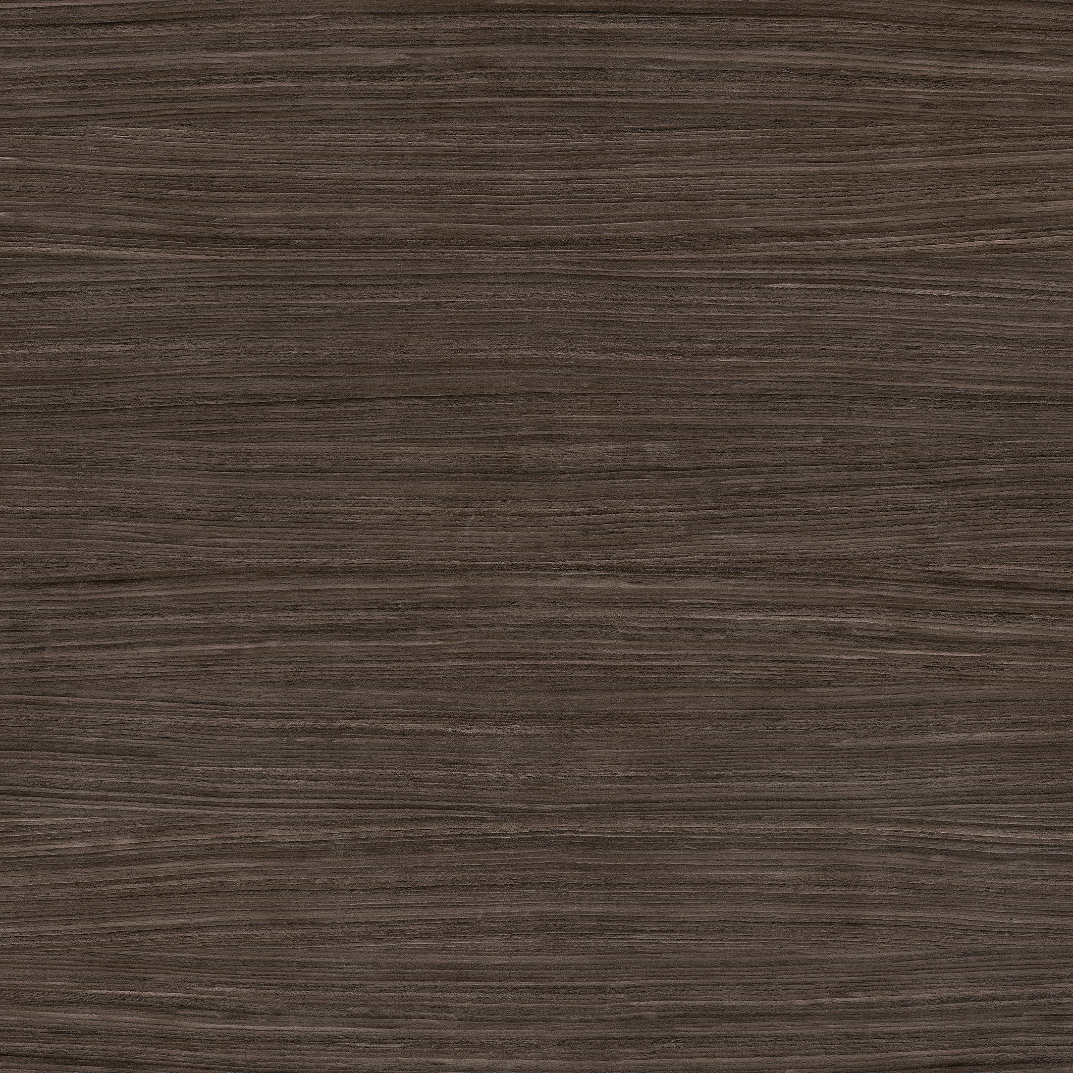 Nature Mood | Plank 03