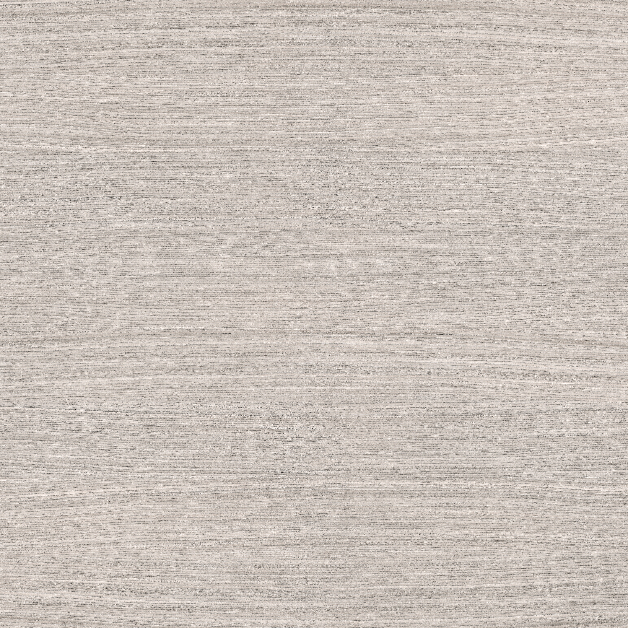 Nature Mood | Plank 04
