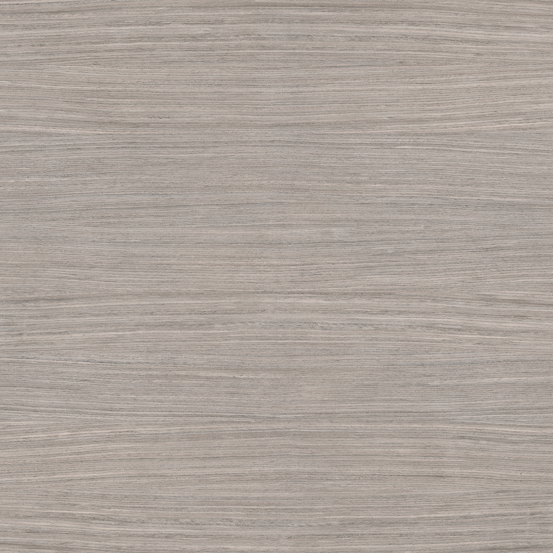 Nature Mood | Plank 05