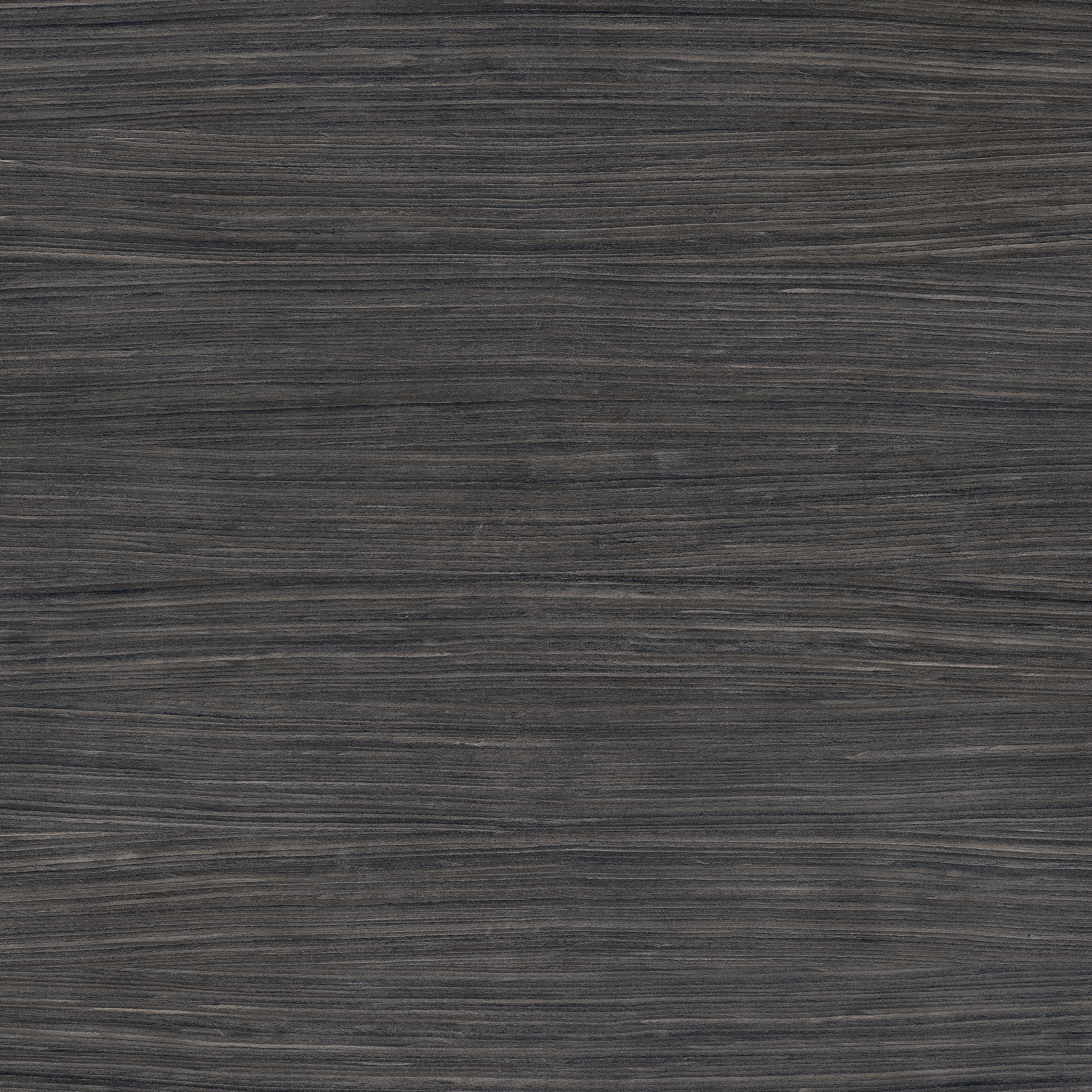 Nature Mood | Plank 06