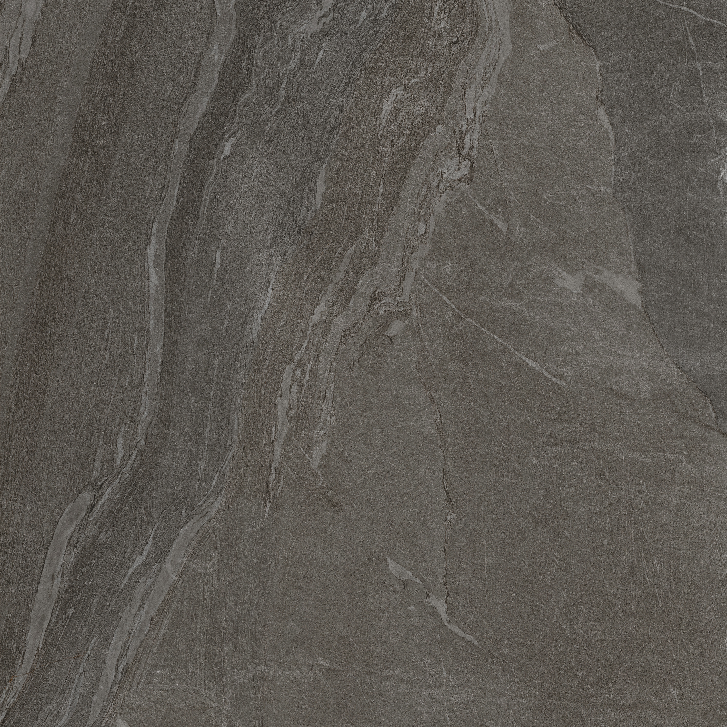 Woodslate Life | Bark