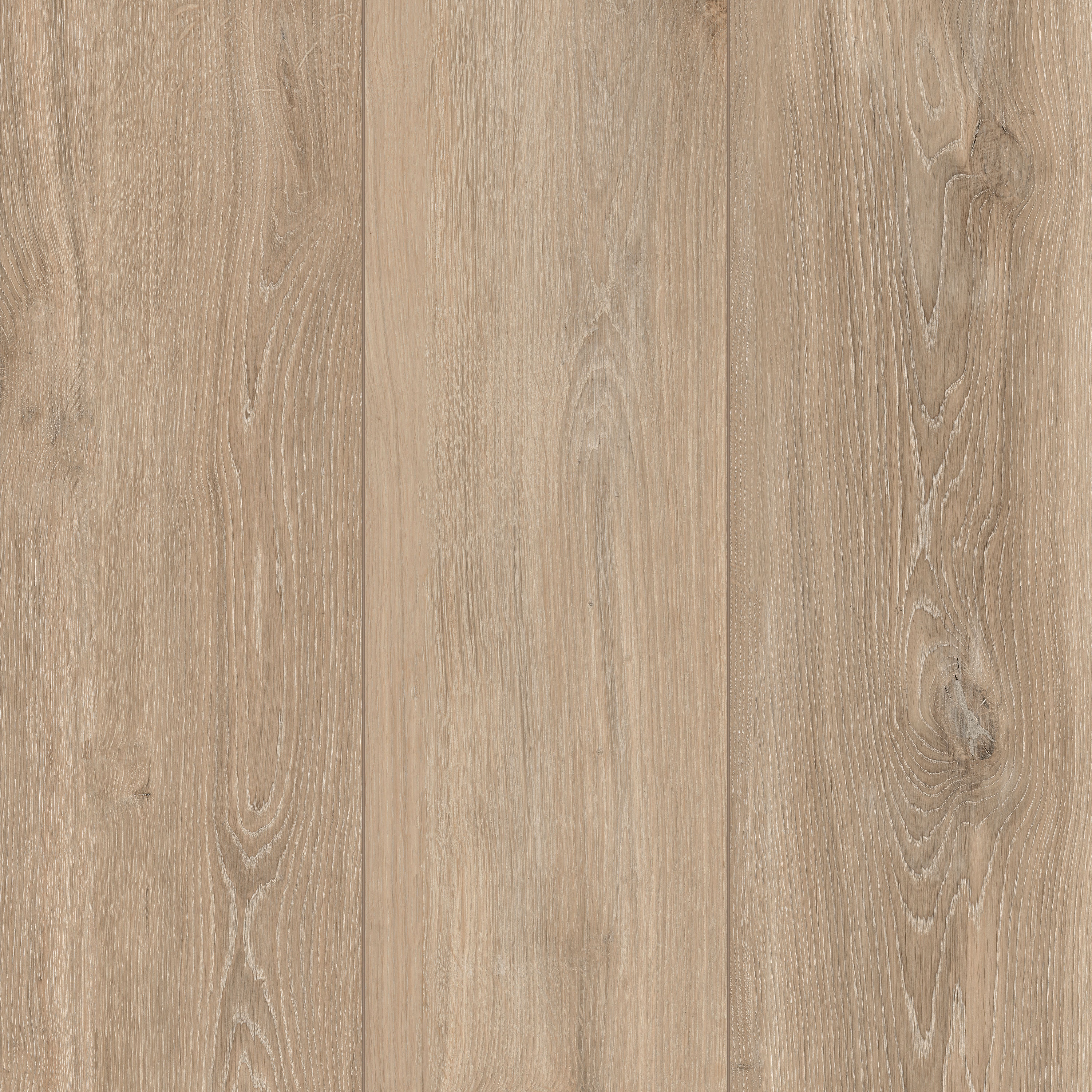 Afficher le produit Woodslate Life | Champagne du fabricant FLORIM