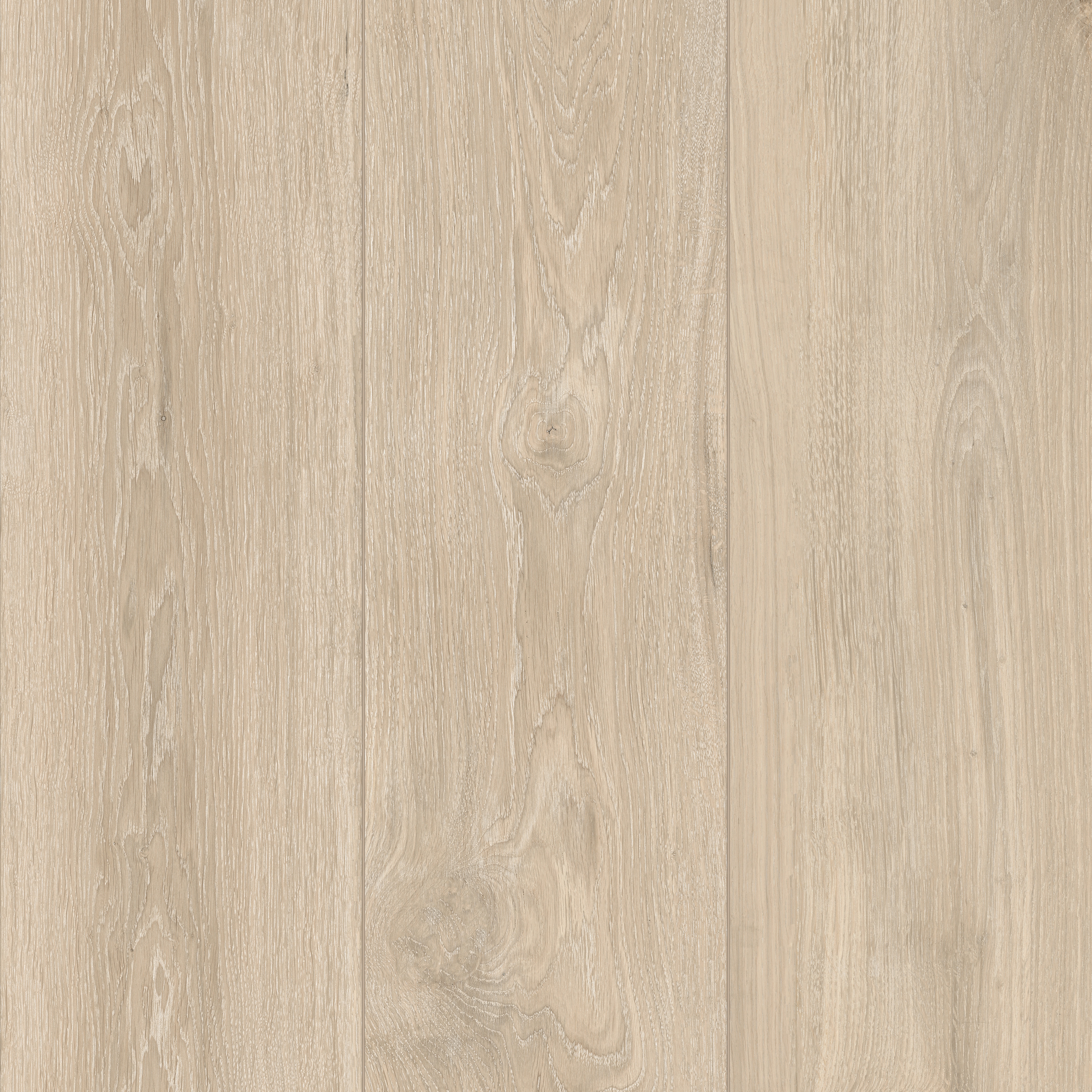 Woodslate Life | Dune