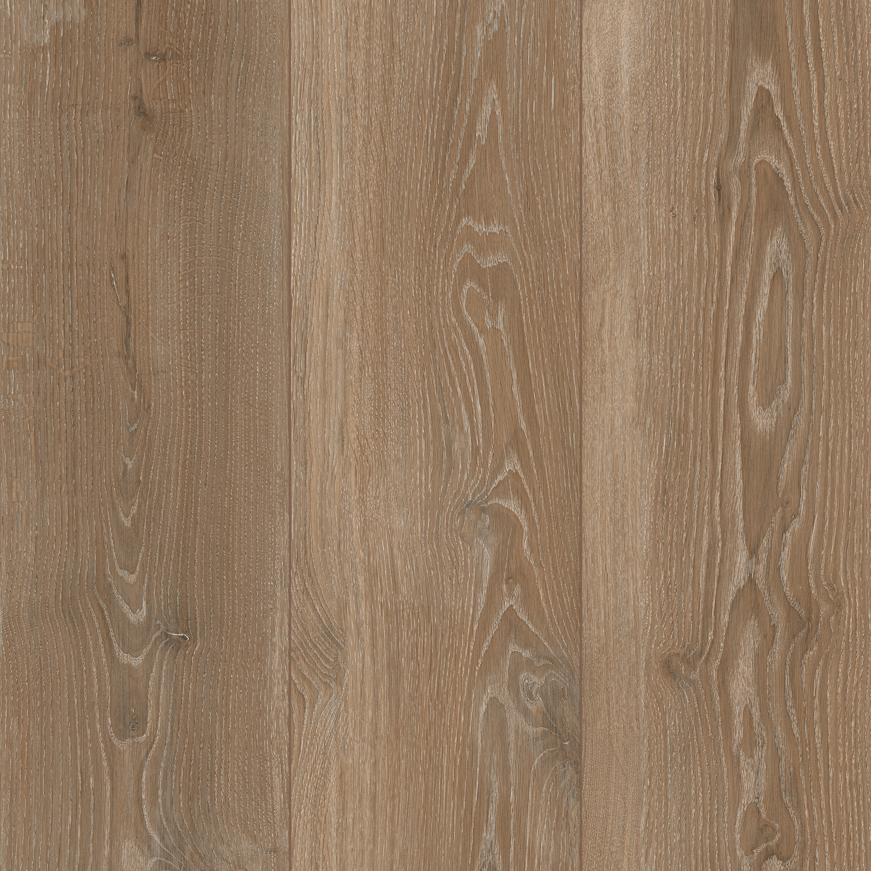 Woodslate Life | Nutmeg