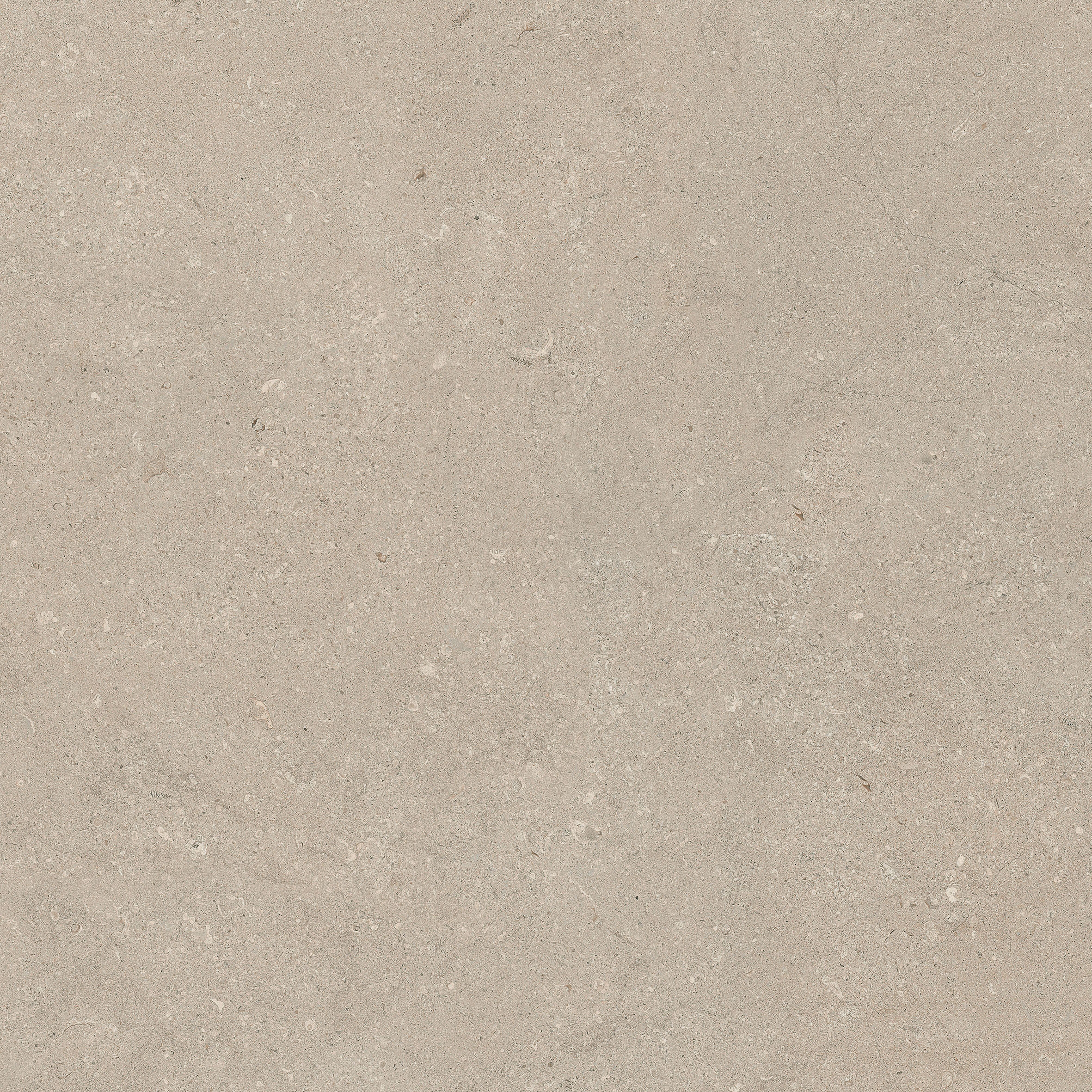 Authentic Luxe | Stone Chablis