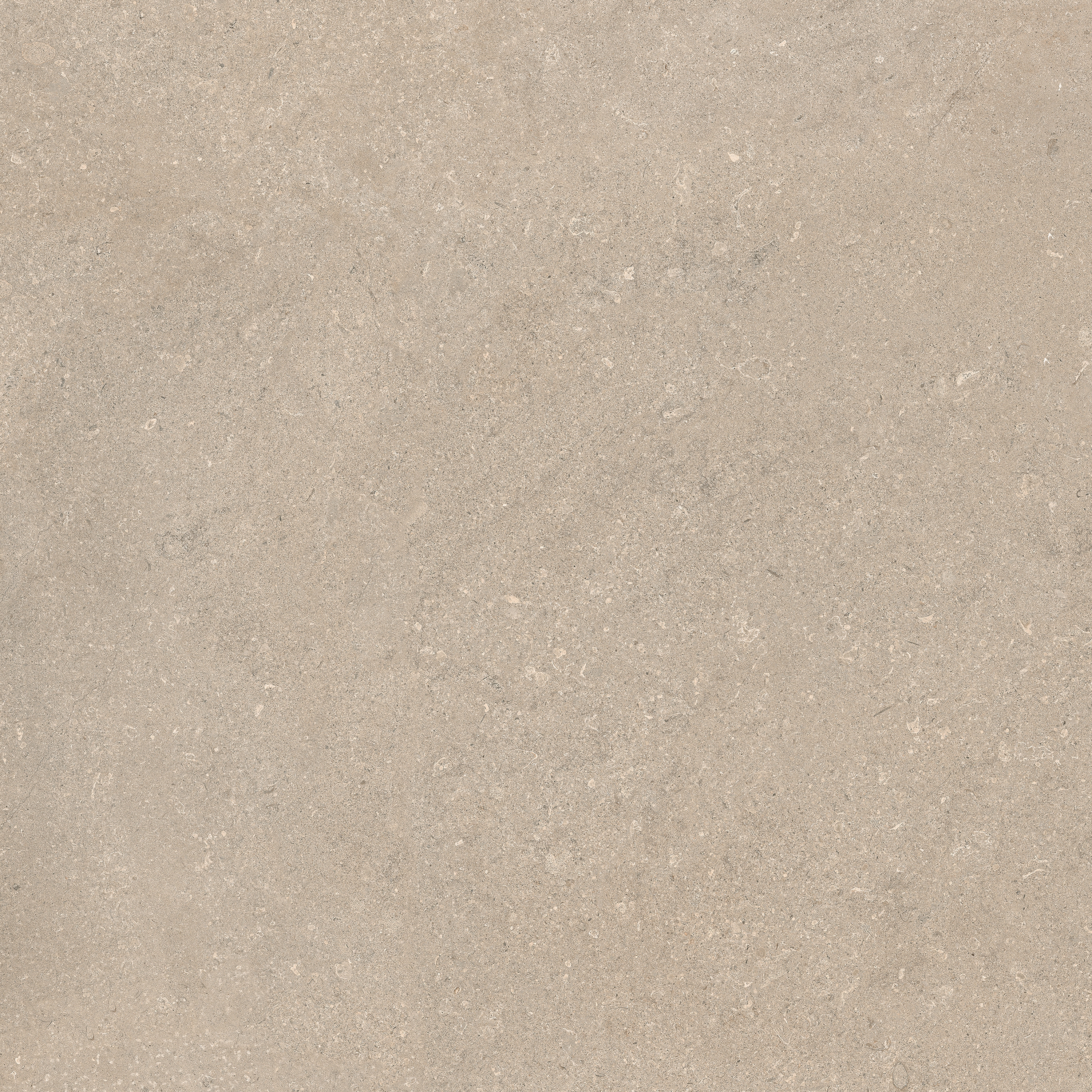 Display product FLORIM skin | Stone Chablis from manufacturer FLORIM