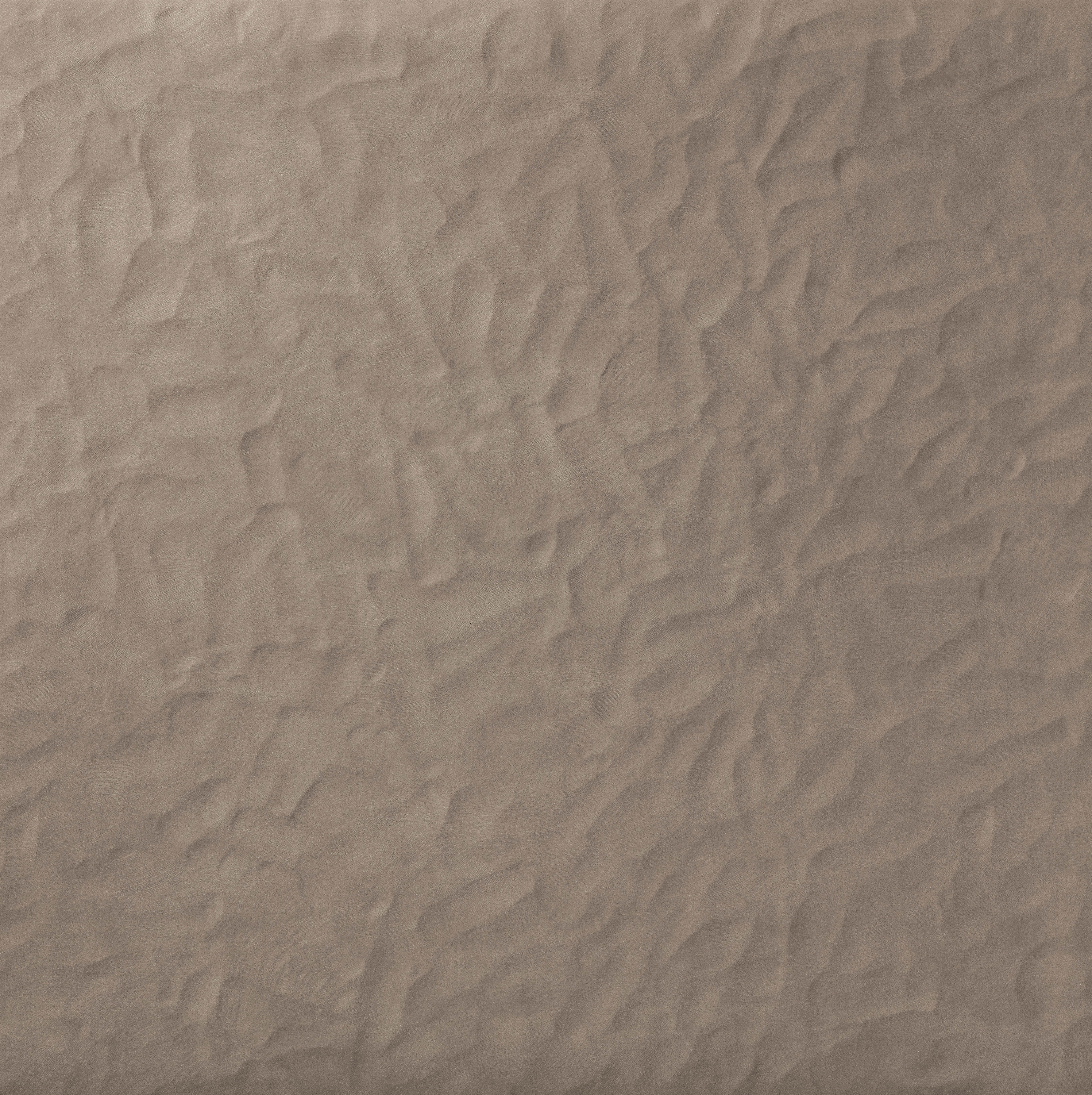 Segnature | Foglio Corteccia