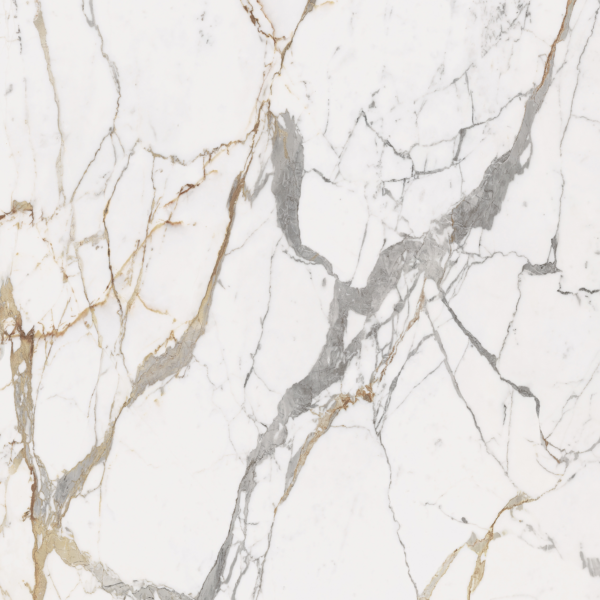 Marble | Eternal Gold B