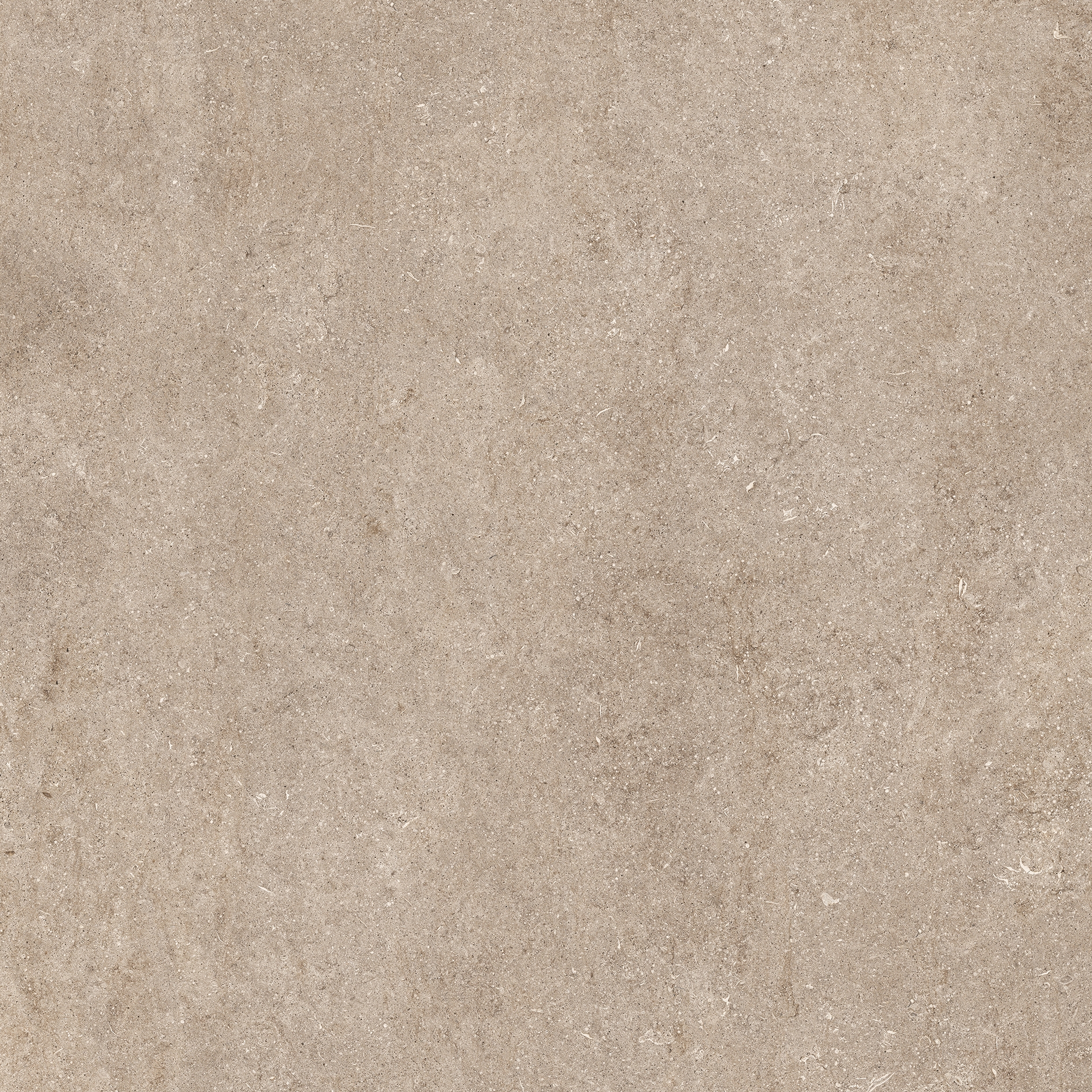 Stone | Fossil ivory
