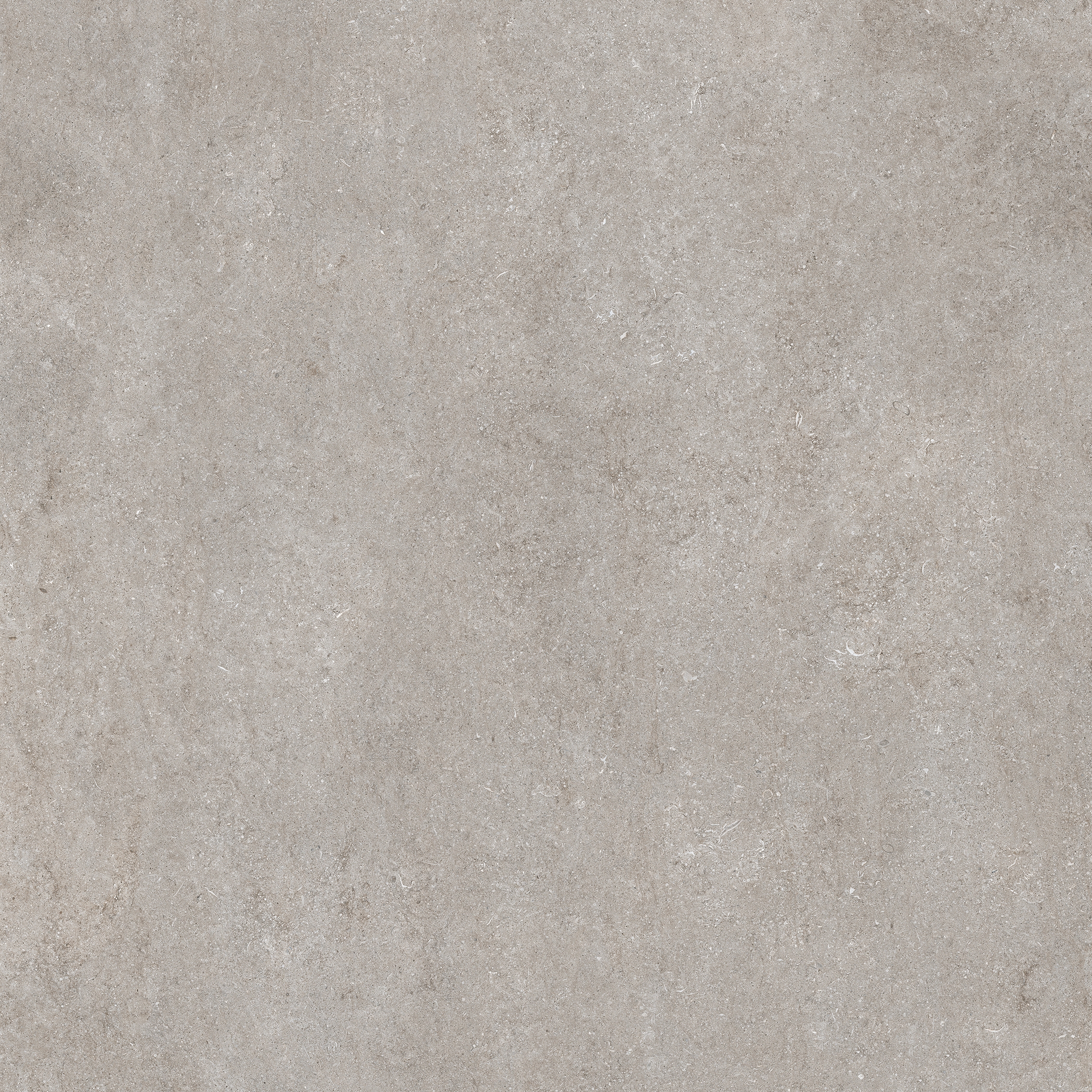 Stone | Fossil grey