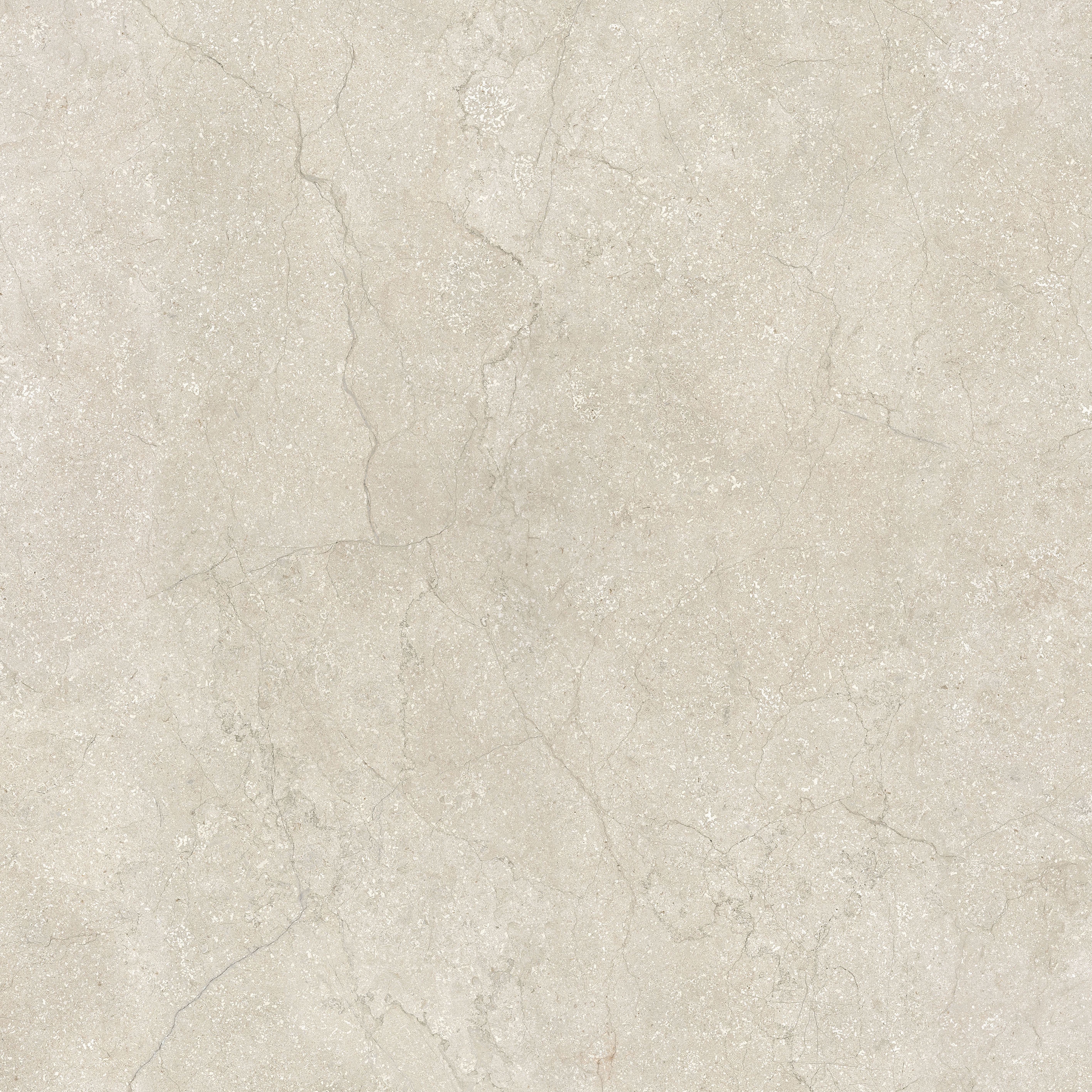 Stone Life | Shell