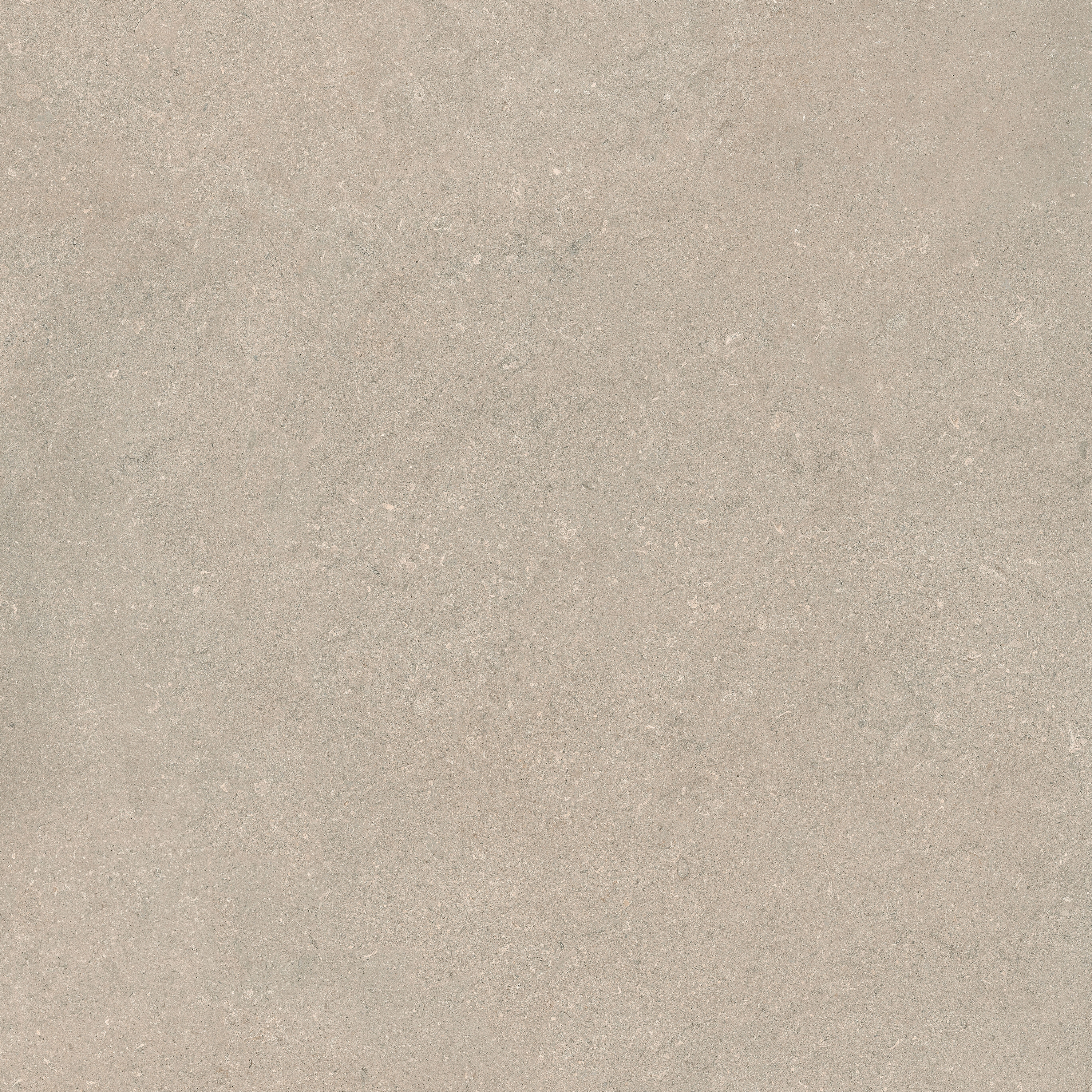 Stone | chablis
