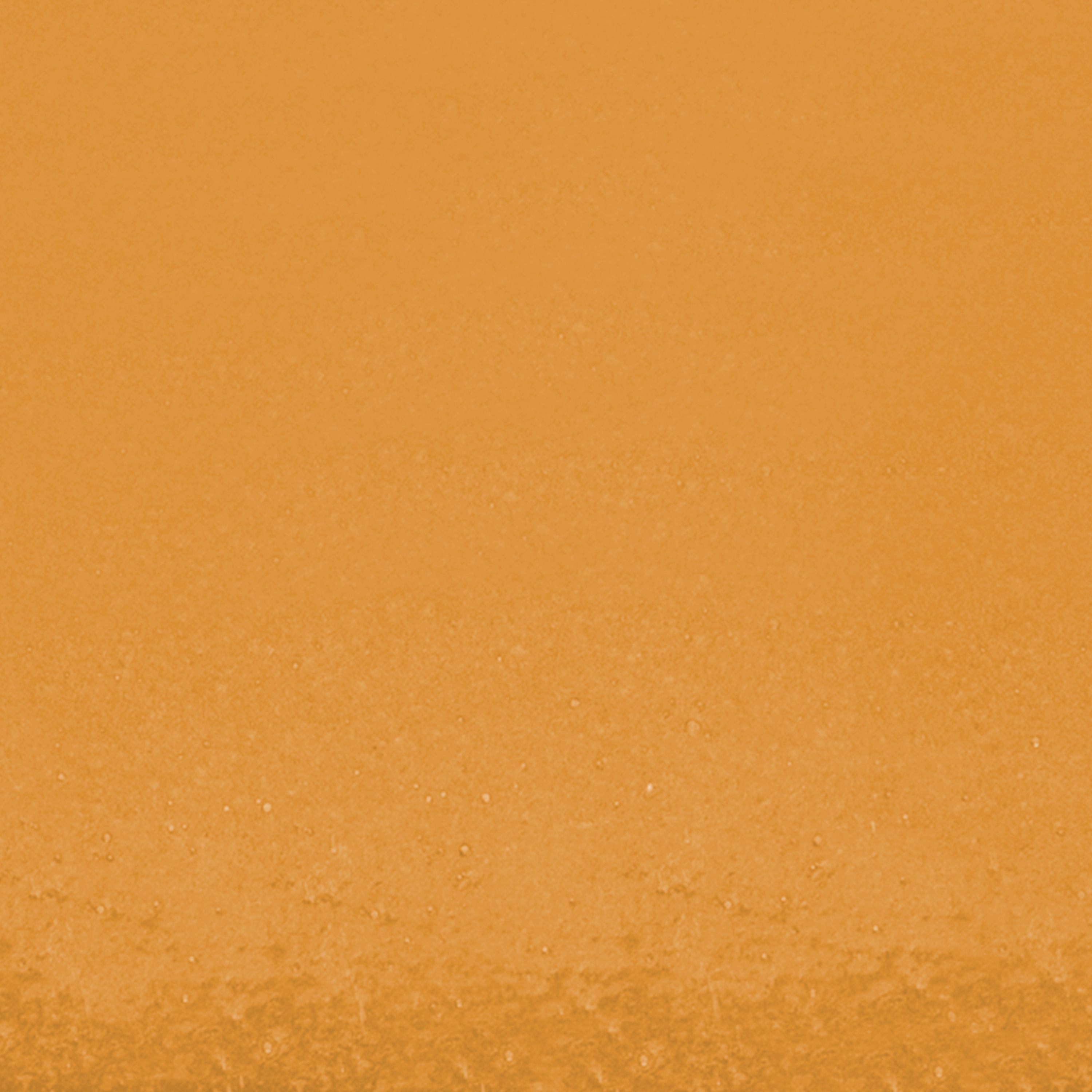 Tempio Gloss Colours Yellow Angola EB3680