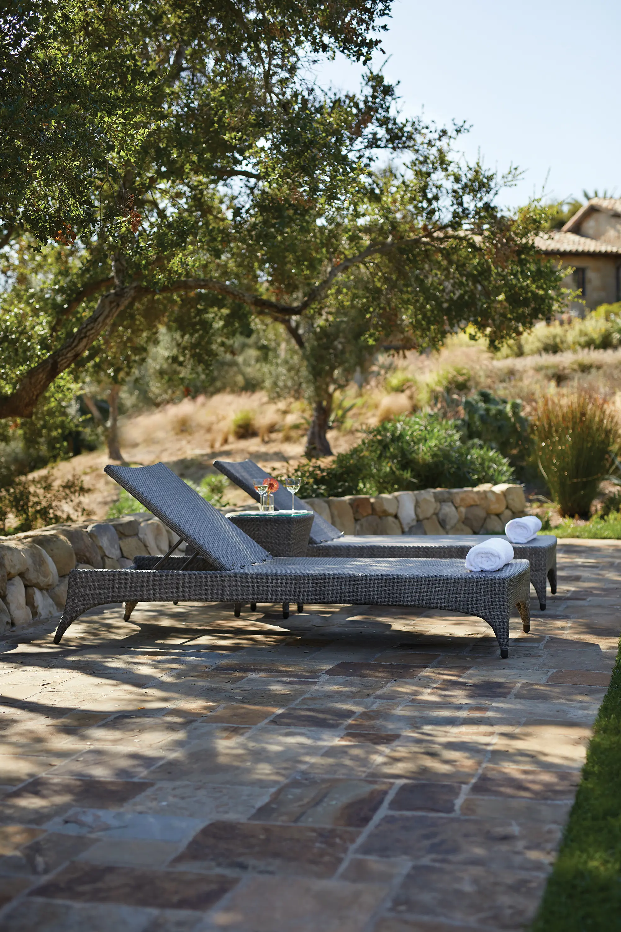 JANUS et Cie - AMARI VITA LOUNGE CHAIR