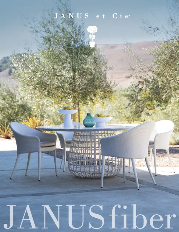 Preview image for the file JANUSfiber