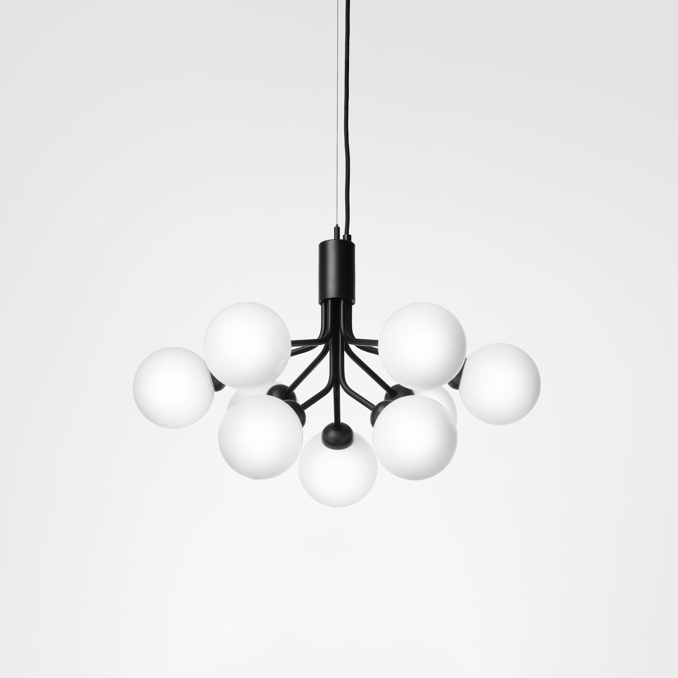 Apiales 9 Satin Black