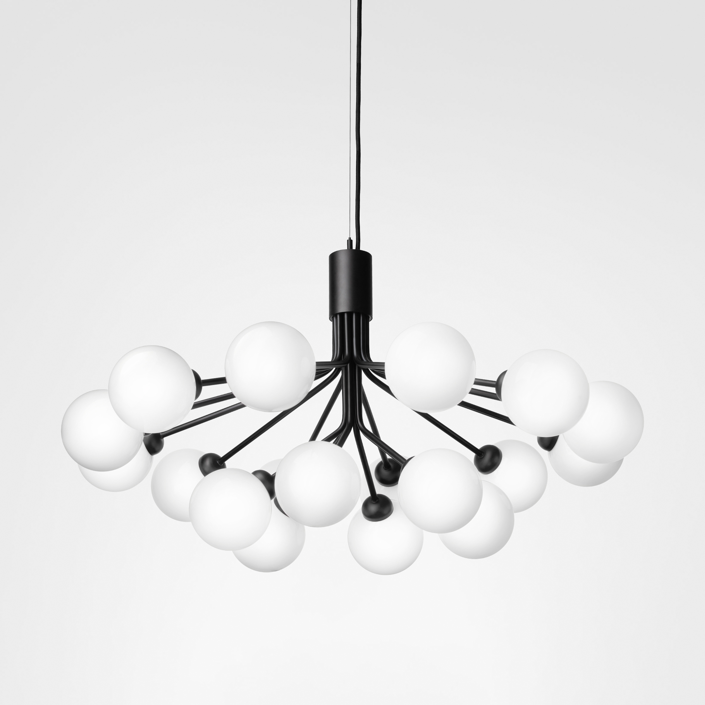 Apiales 18 Satin Black