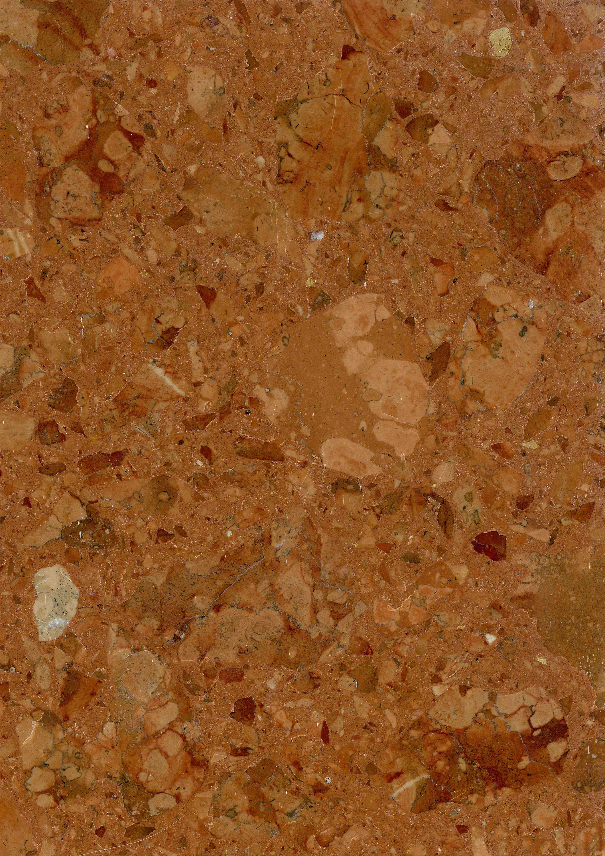 Mondo Marmo Design - Resin Terrazzo MMDR-018