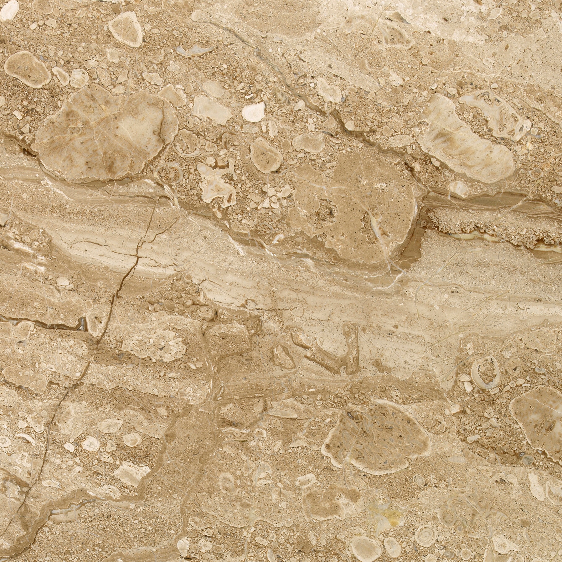 Mármol Marrón - Beige | Breccia Sarda