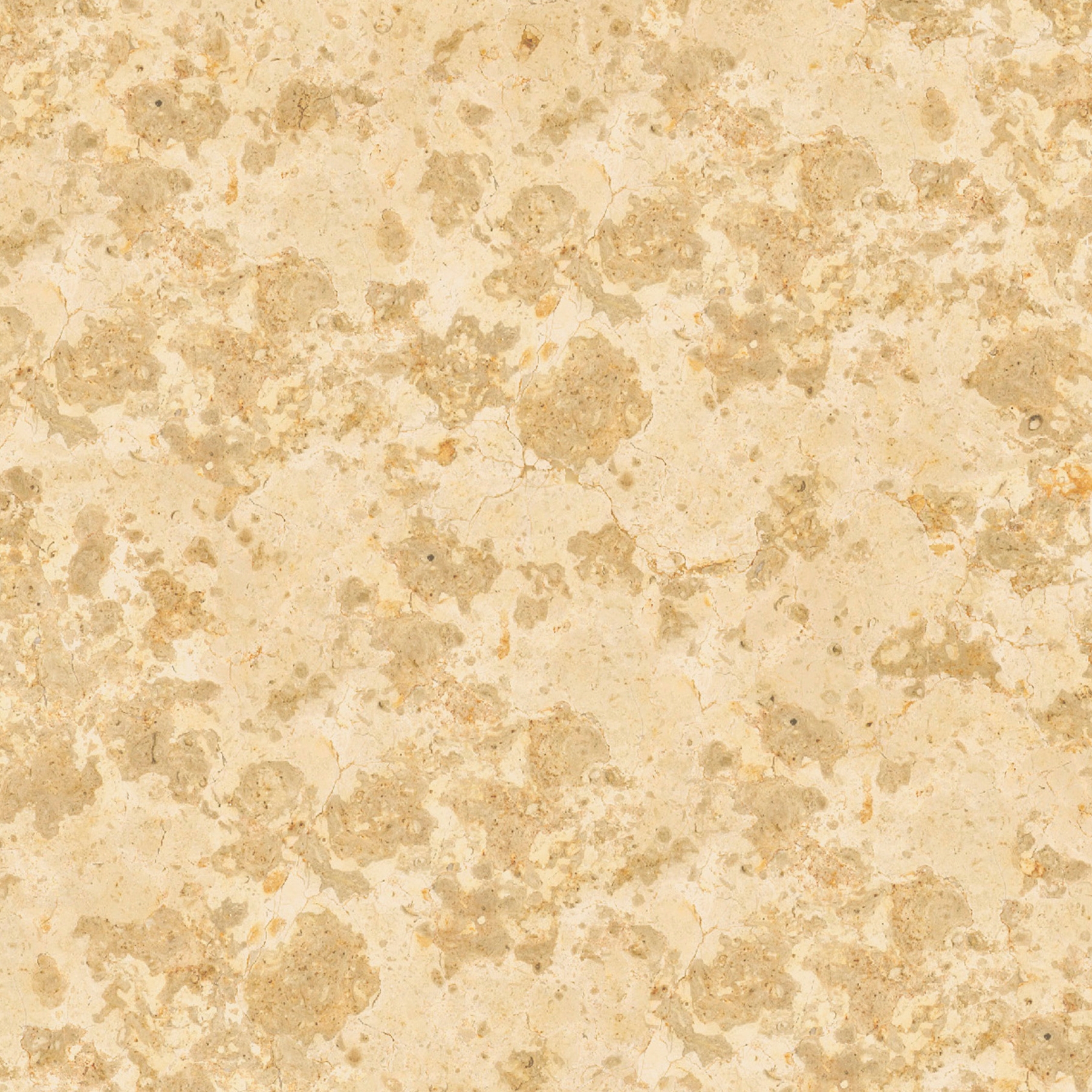 Mármol Marrón - Beige | Giallo Distria