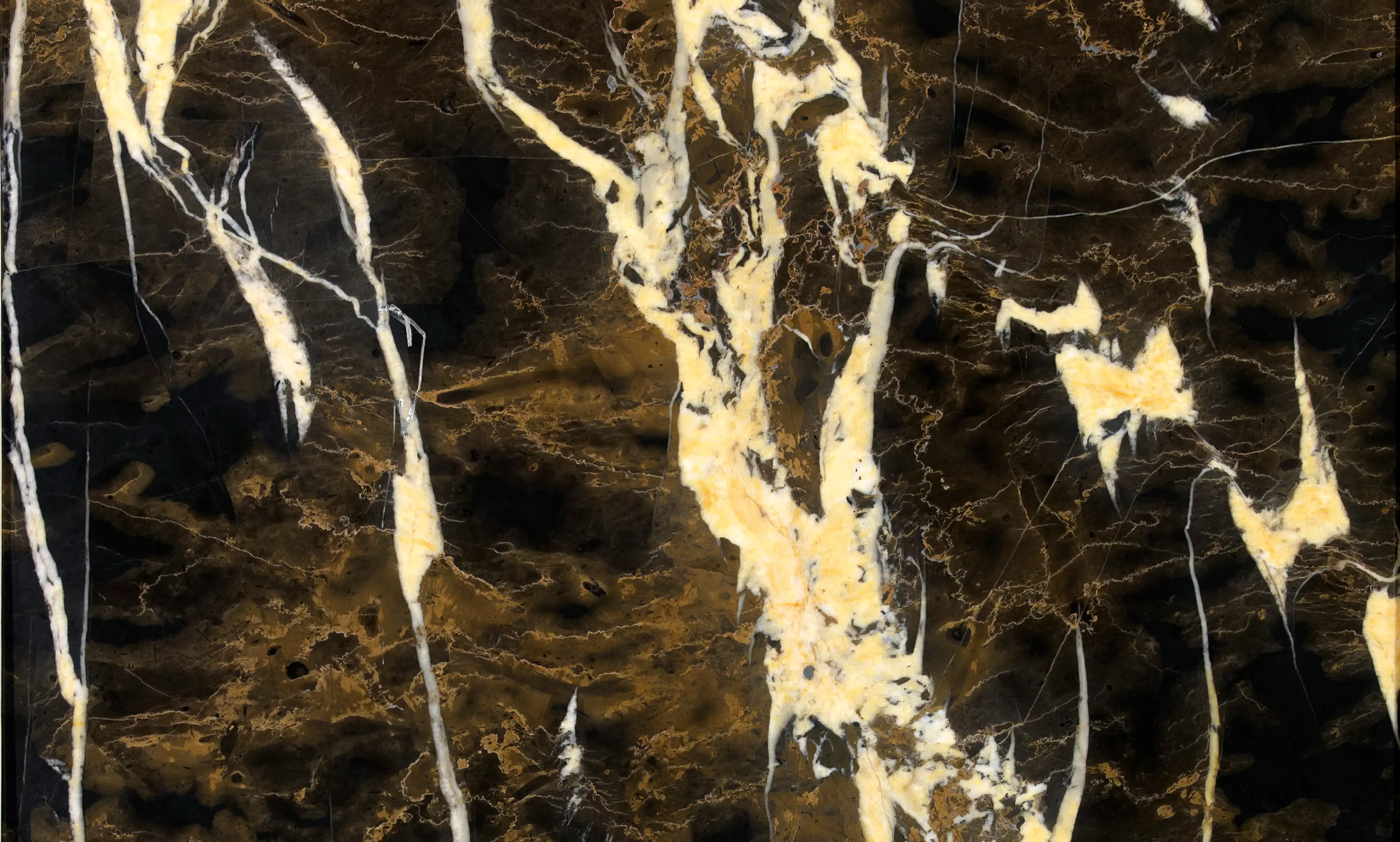 Mondo Marmo Design - Schwarzer Marmor | Black and Gold