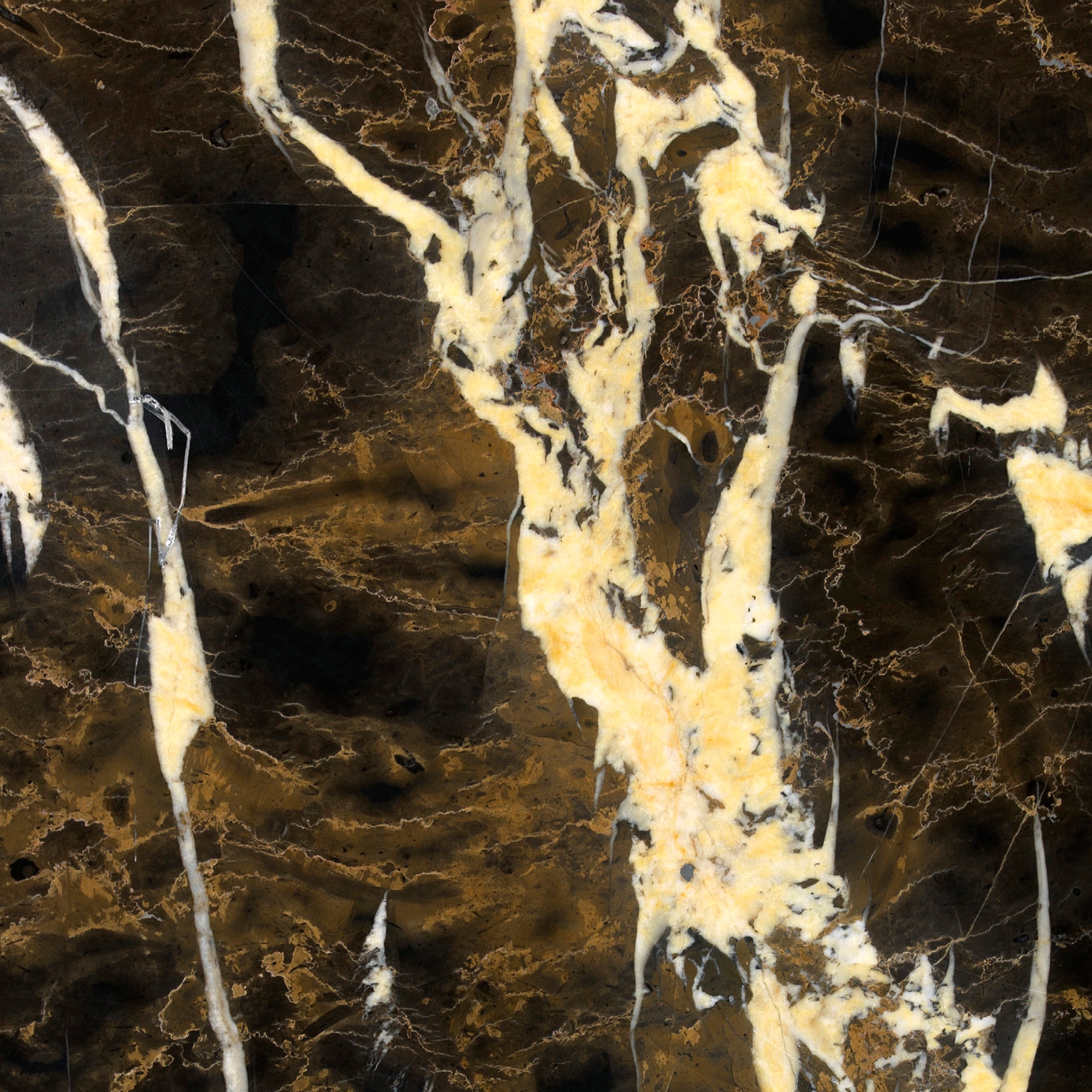 Afficher le produit Marbre Noir | Black and Gold du fabricant Mondo Marmo Design