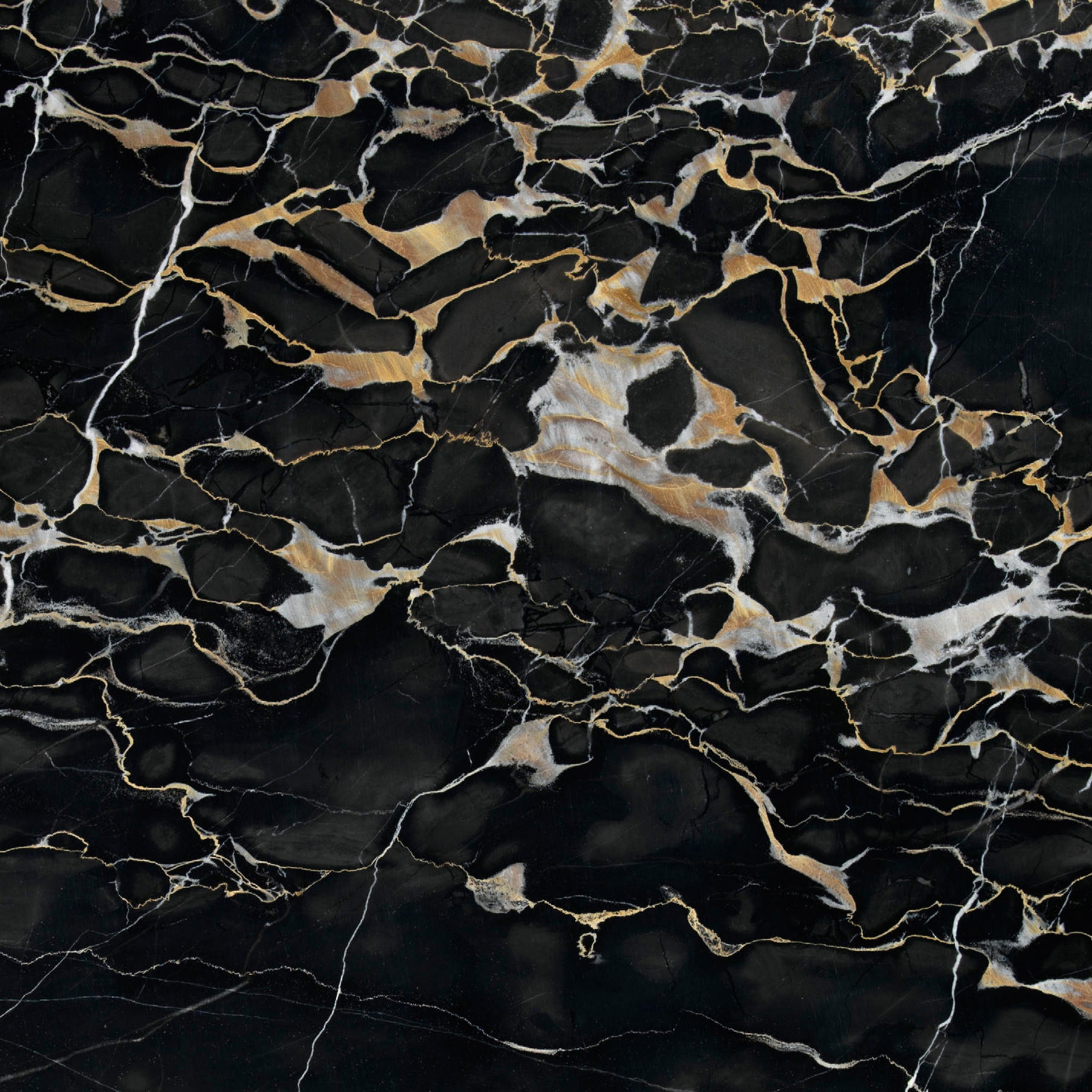 Schwarzer Marmor | Nero Portoro