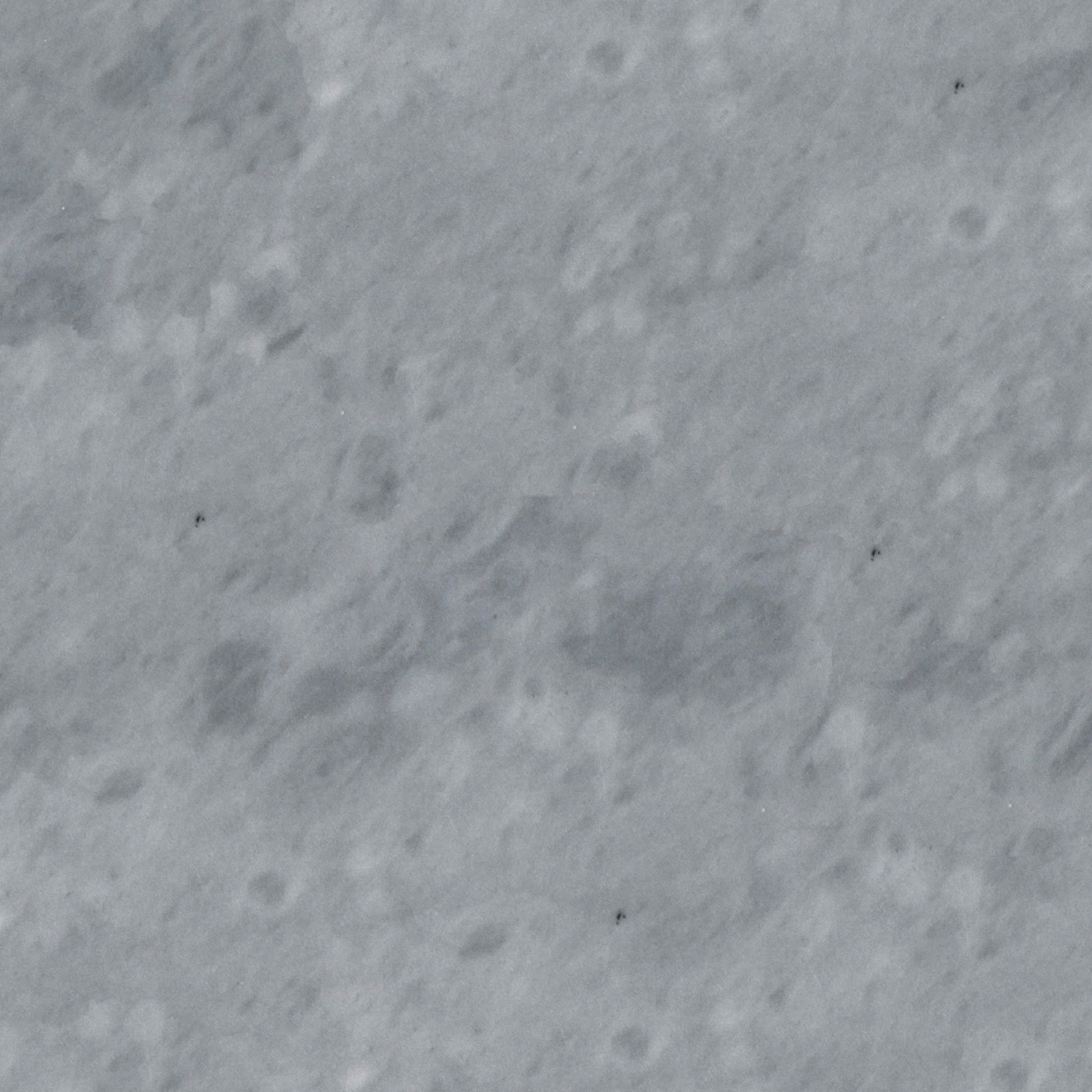 Grey Marble | Bardiglio Imperiale