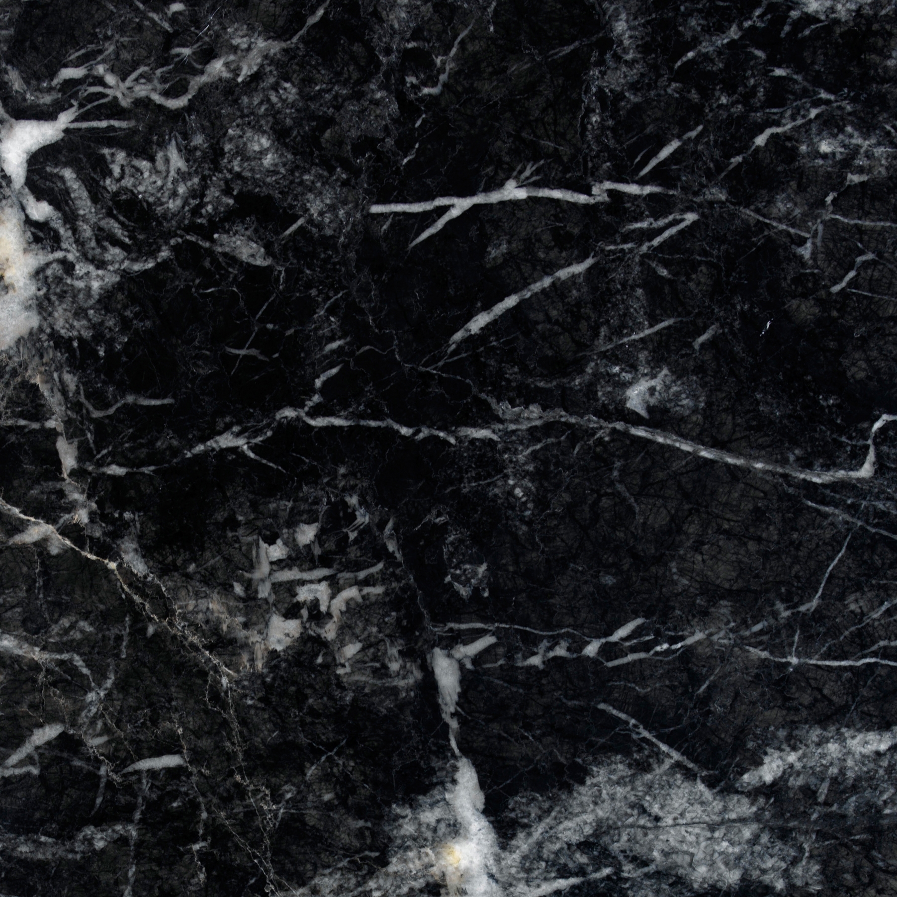 Grey Marble | Grigio Carnico