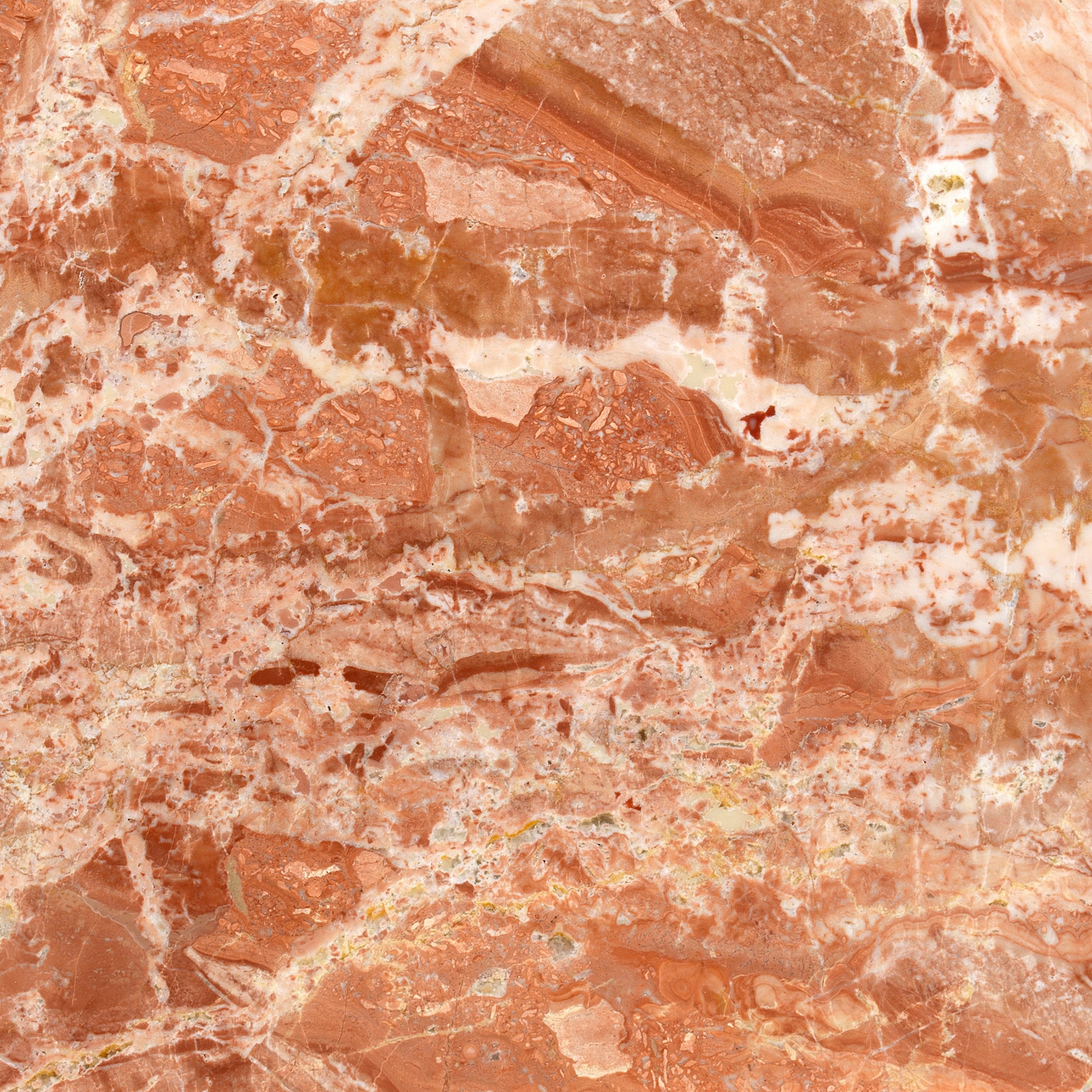 Pink Marble - Red | Breccia Pernice