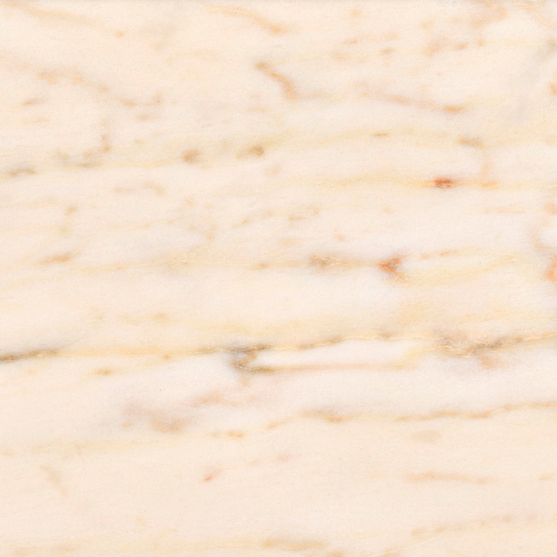 Pink Marble - Red | Rosa Portogallo