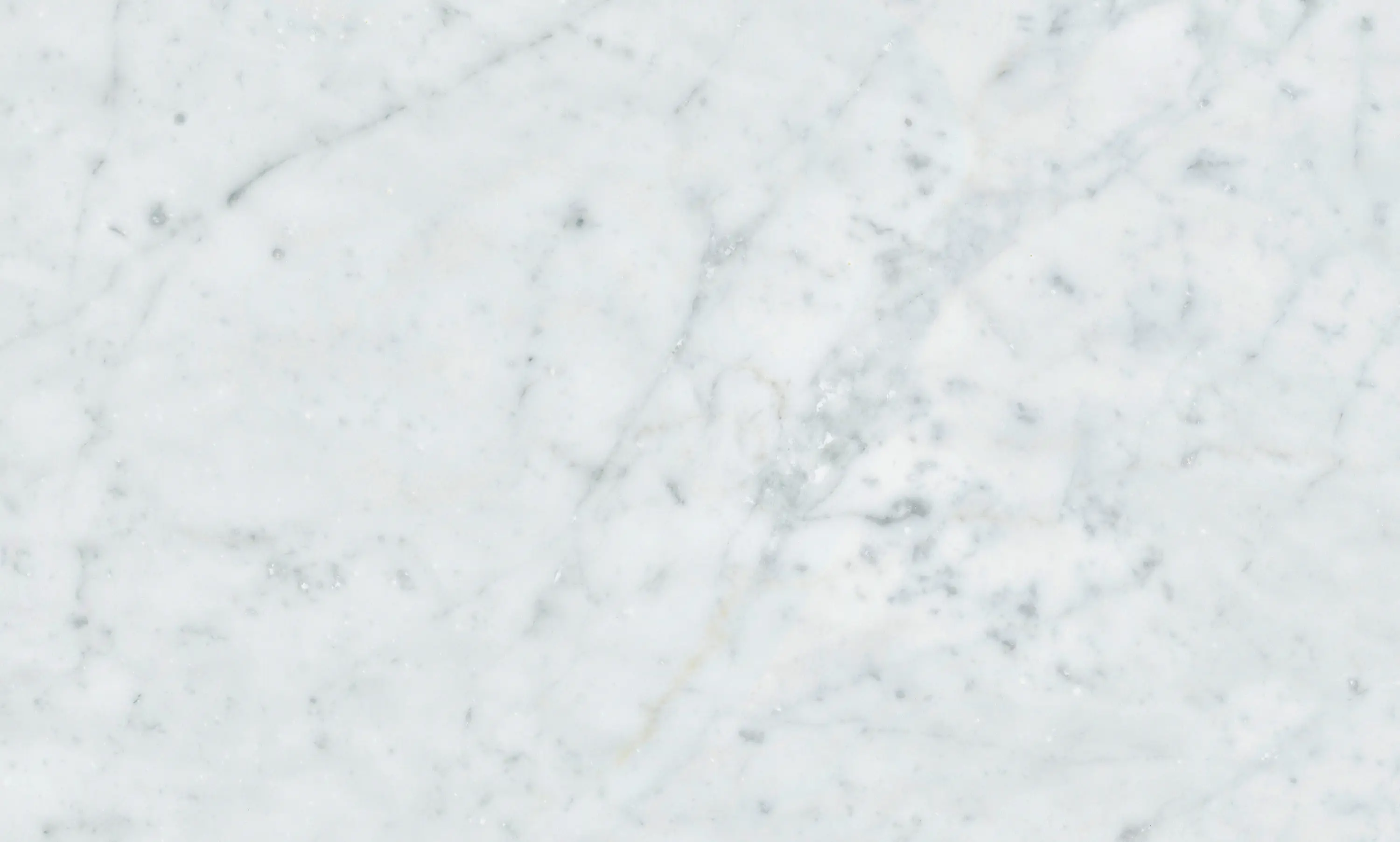 Mondo Marmo Design - White Marble | Bianco Carrara C