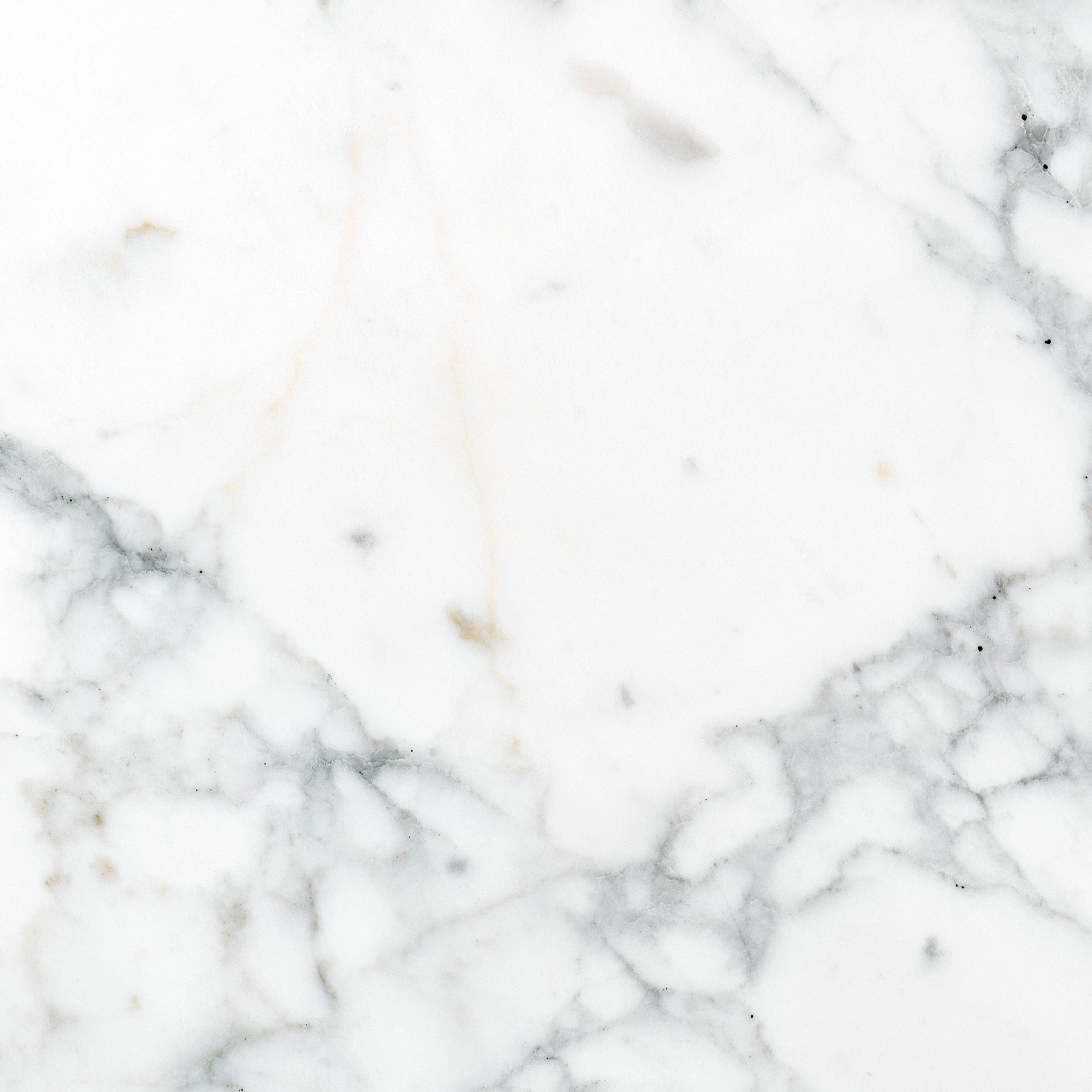 Mármol Blanco | Blanco Statuarietto
