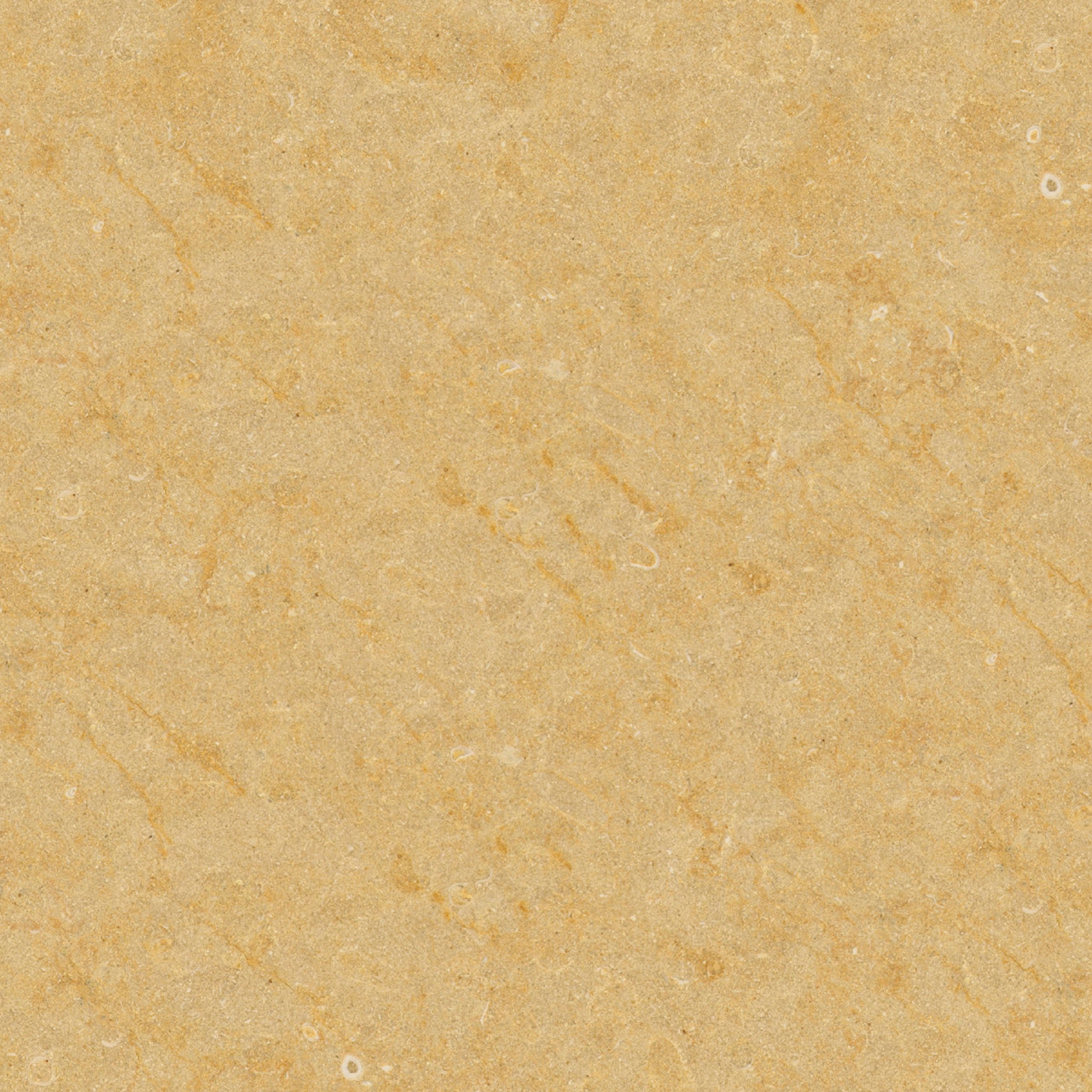 Mármol Amarillo | Gerusalem Gold