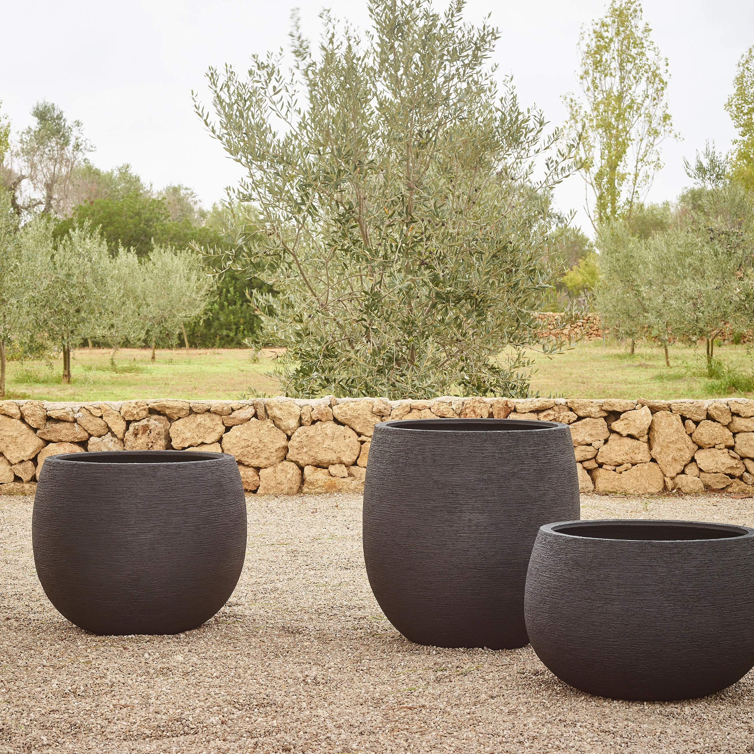 POTS