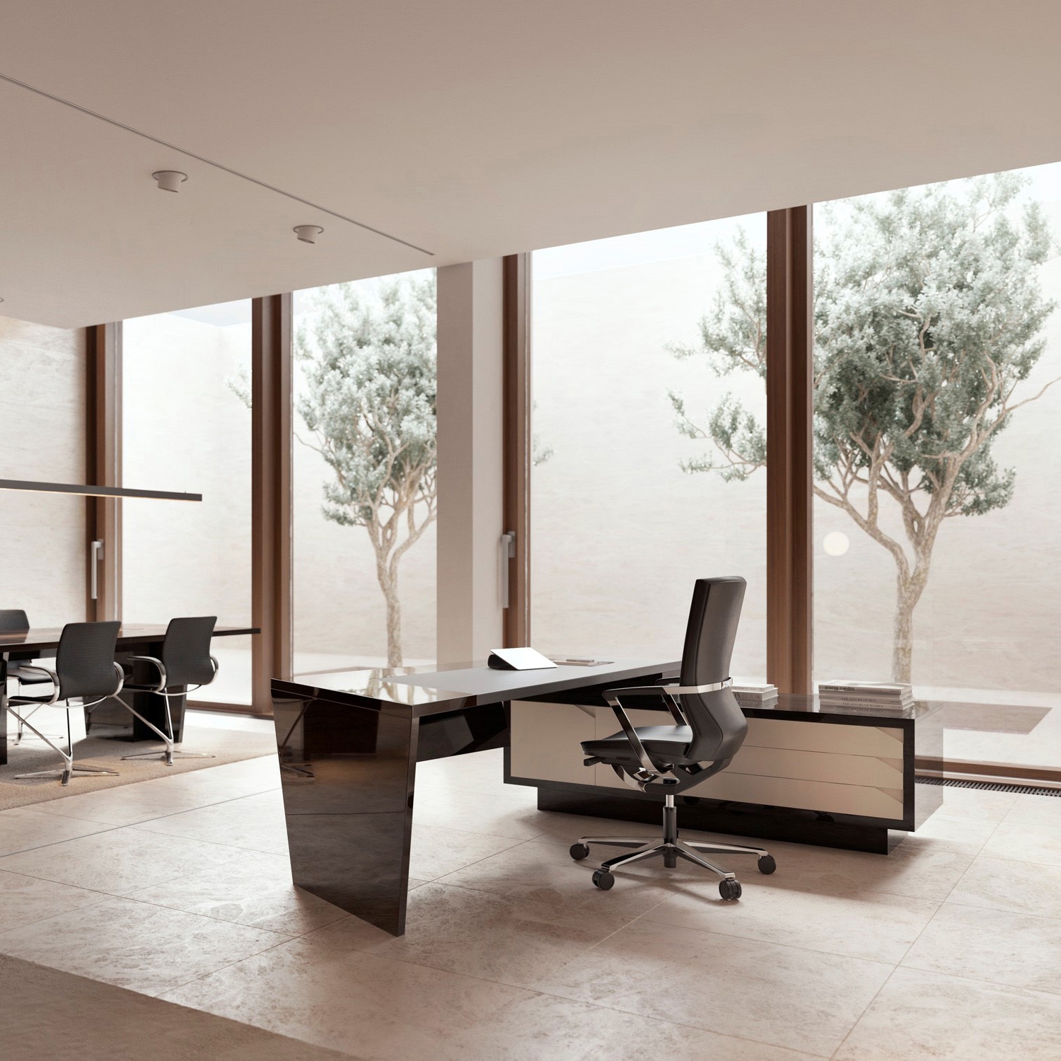 EXECUTIVE