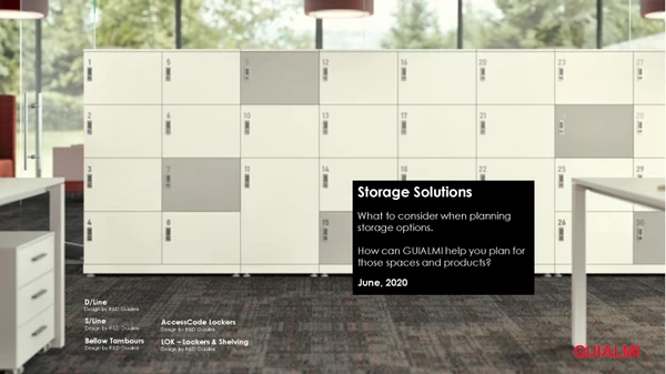 Immagine di anteprima del file Storage Solutions