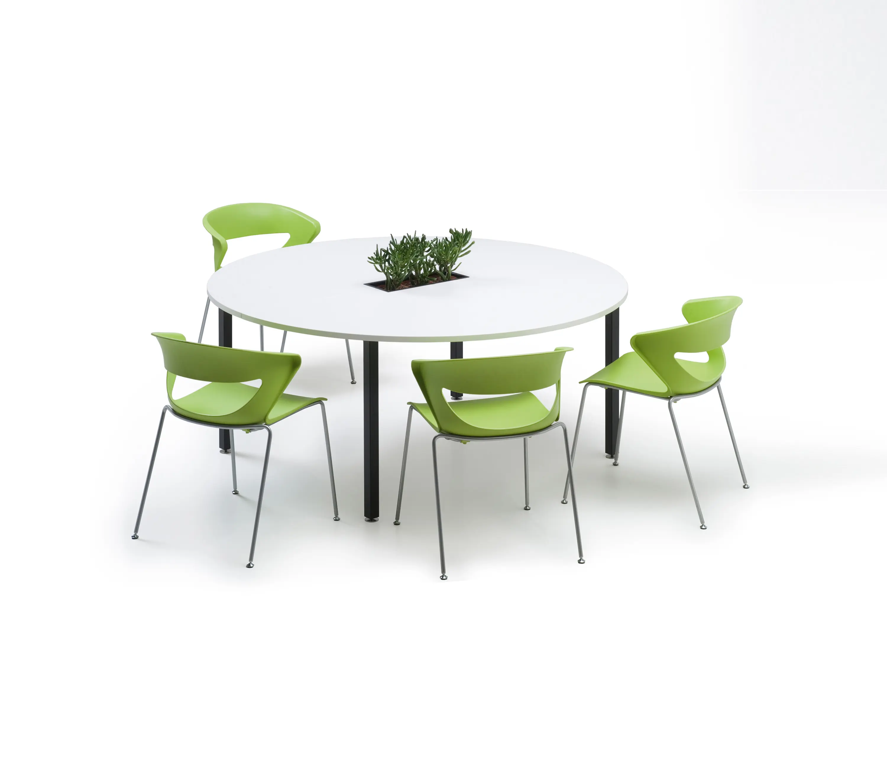 Standard - Forum