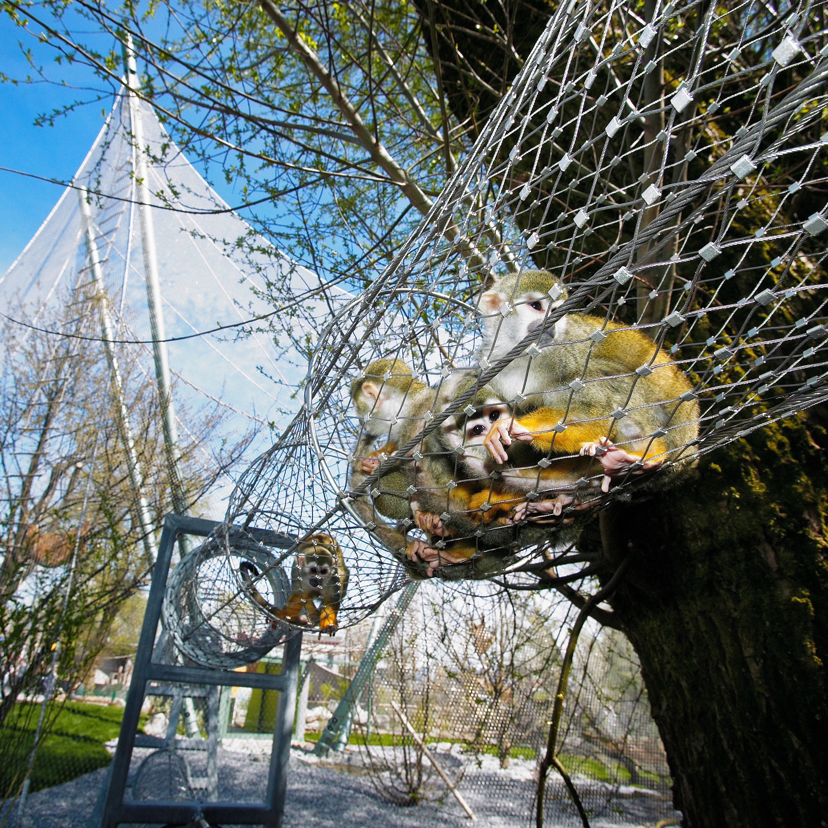 Display product Animal enclosures from manufacturer Jakob
