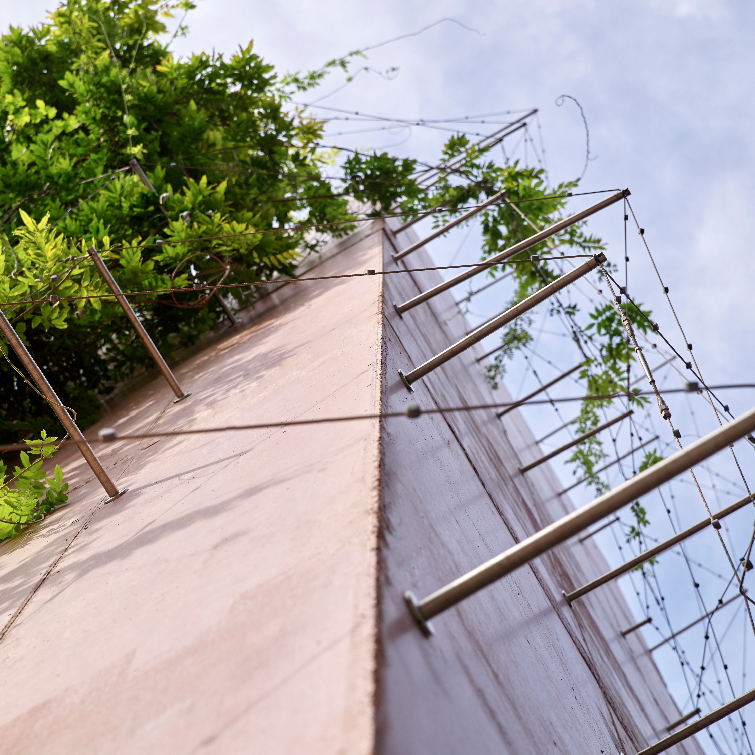 Display product Façade greening from manufacturer Jakob