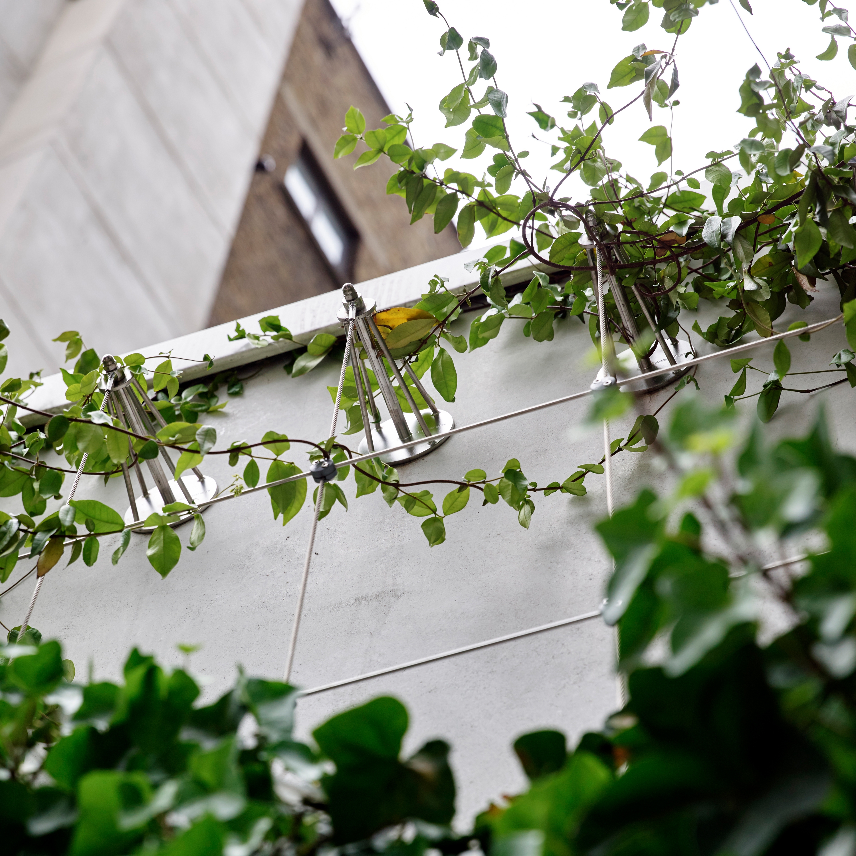 Display product Façade greening from manufacturer Jakob