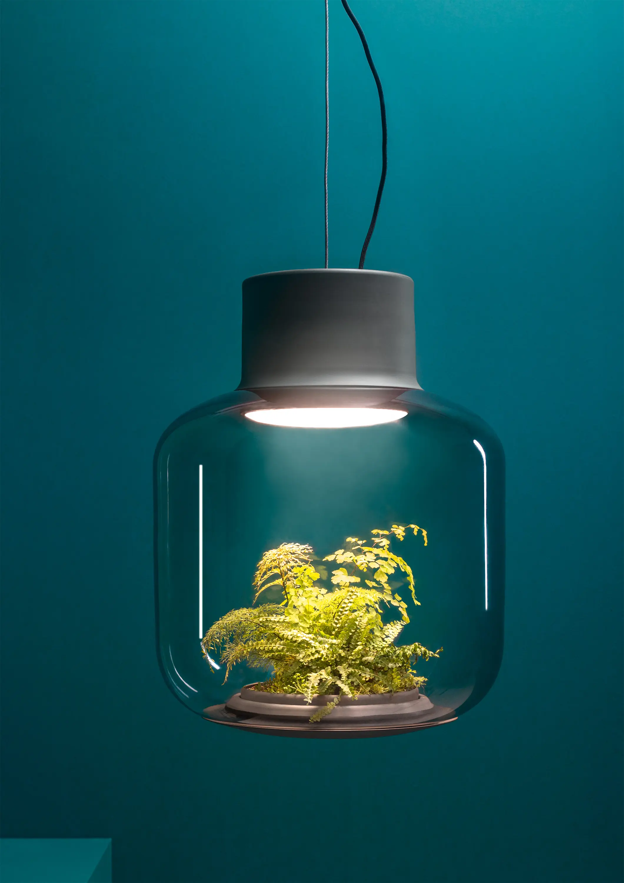Nui Studio - Mygdal Plantlight Regular Lush