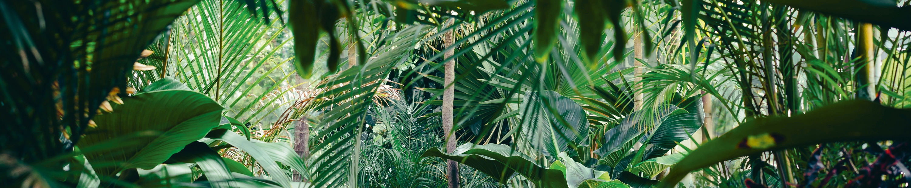 Discover the world of manufacturer Nui Studio