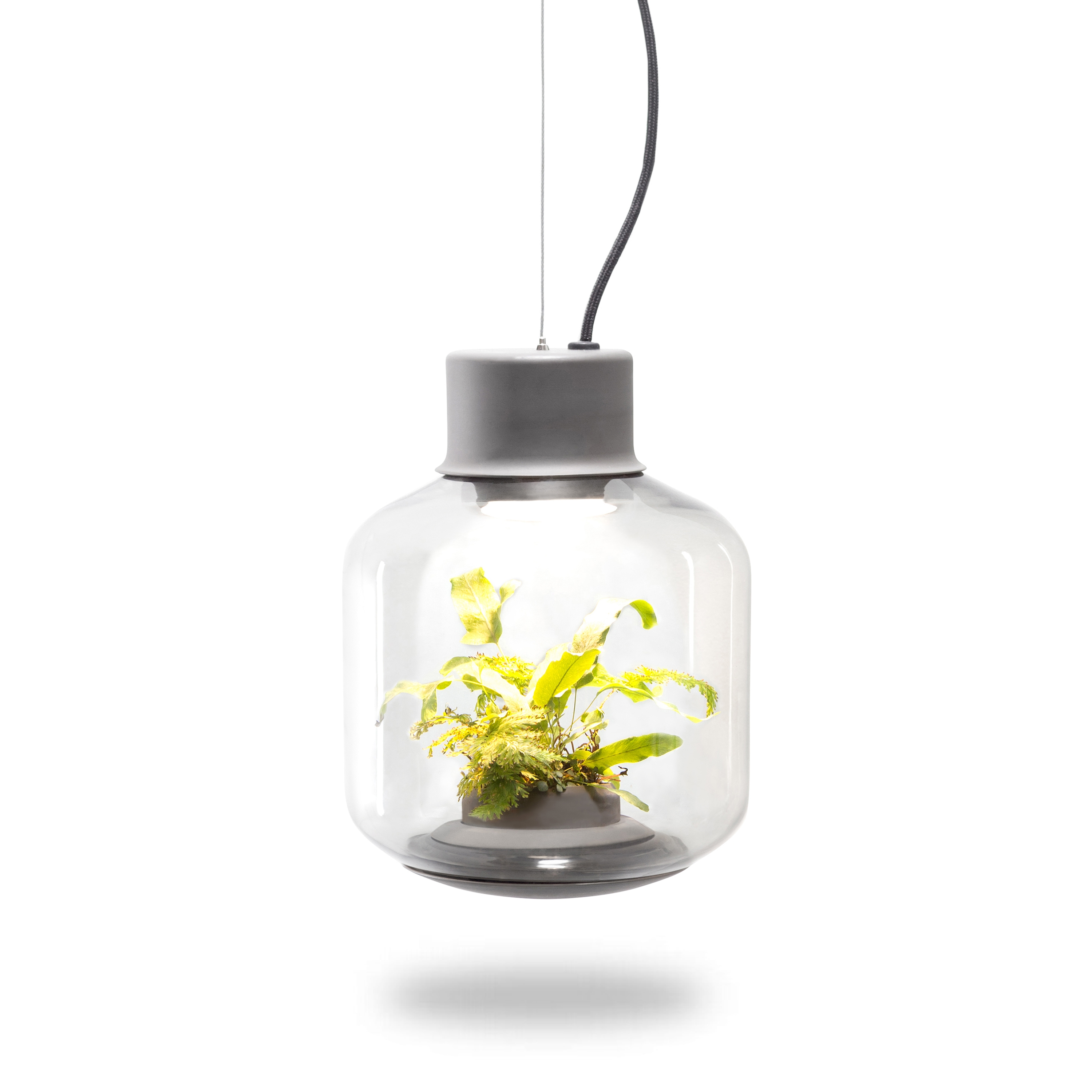 Mostra il prodotto Mygdal Plantlight Regular Jungle del produttore Nui Studio