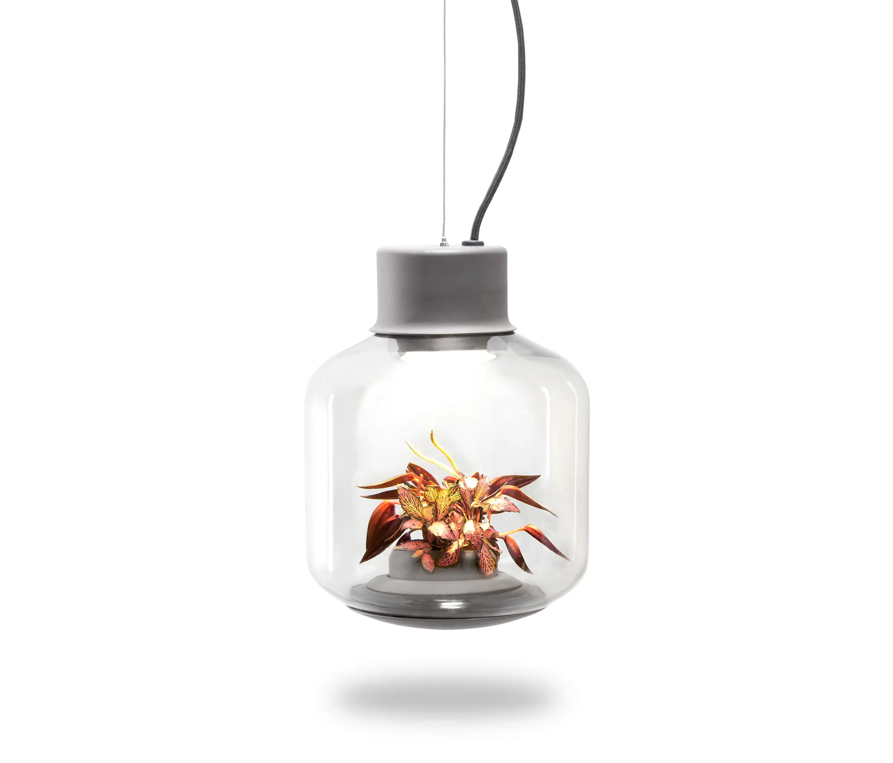 Nui Studio - Mygdal Plantlight Regular Lush