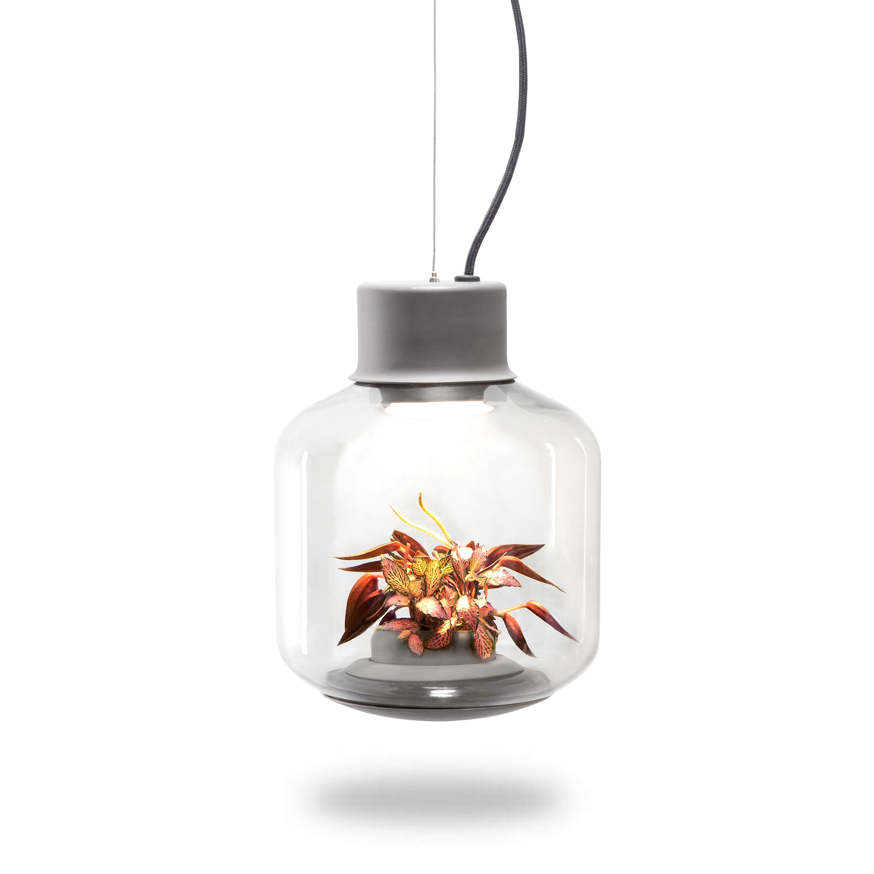 Mostra il prodotto Mygdal Plantlight Regular Lush del produttore Nui Studio