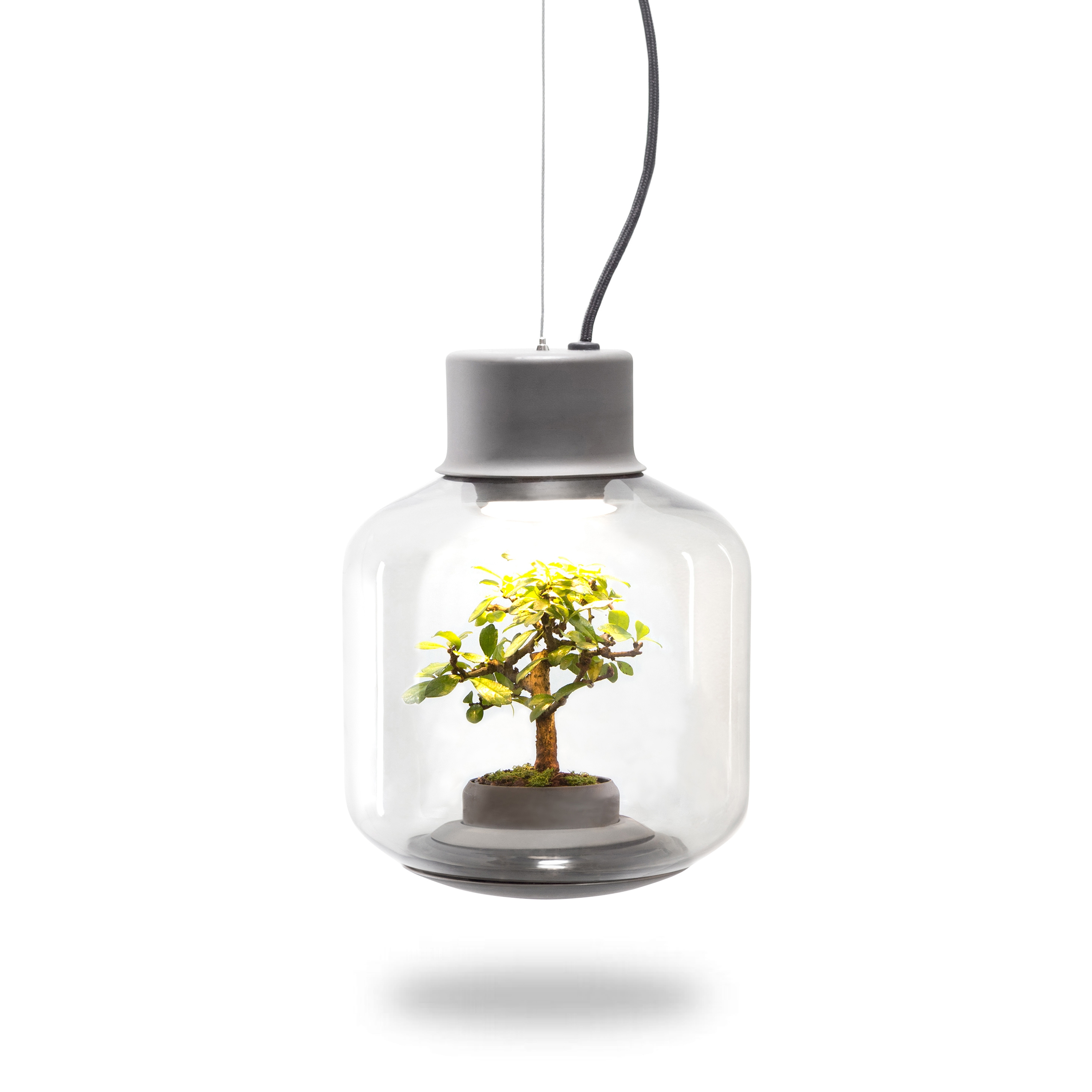 Mostra il prodotto Mygdal Plantlight Regular Zen del produttore Nui Studio