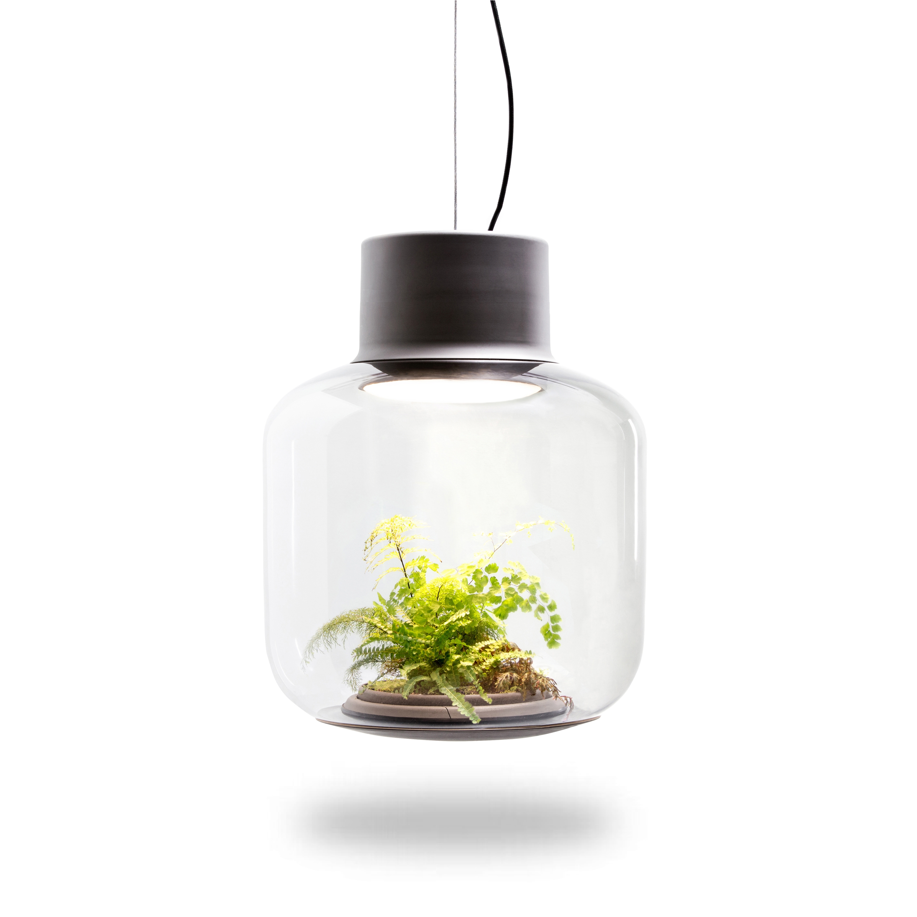 Mostra il prodotto Mygdal Plantlight Large Jungle del produttore Nui Studio