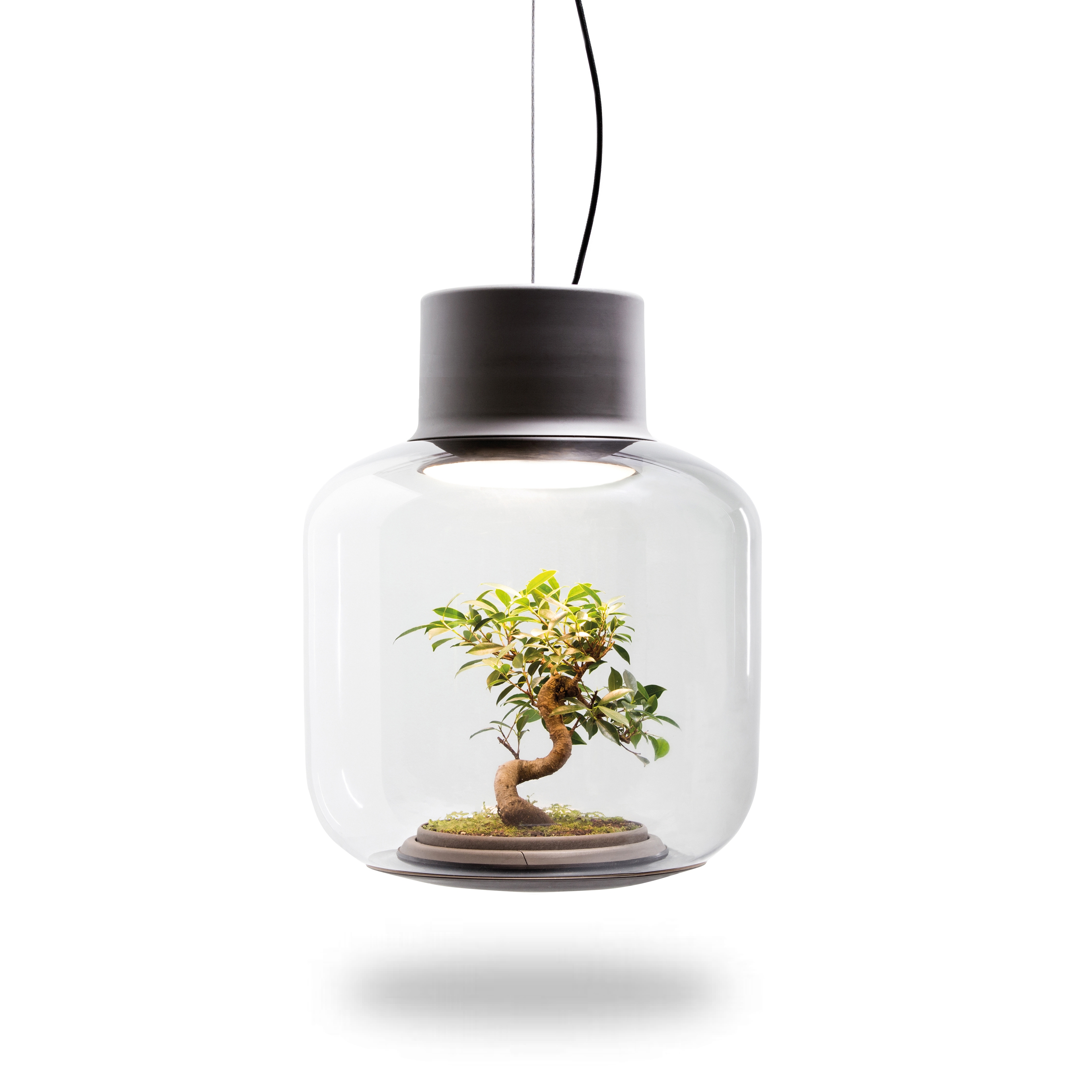 Display product Mygdal Plantlight Large Zen from manufacturer Nui Studio