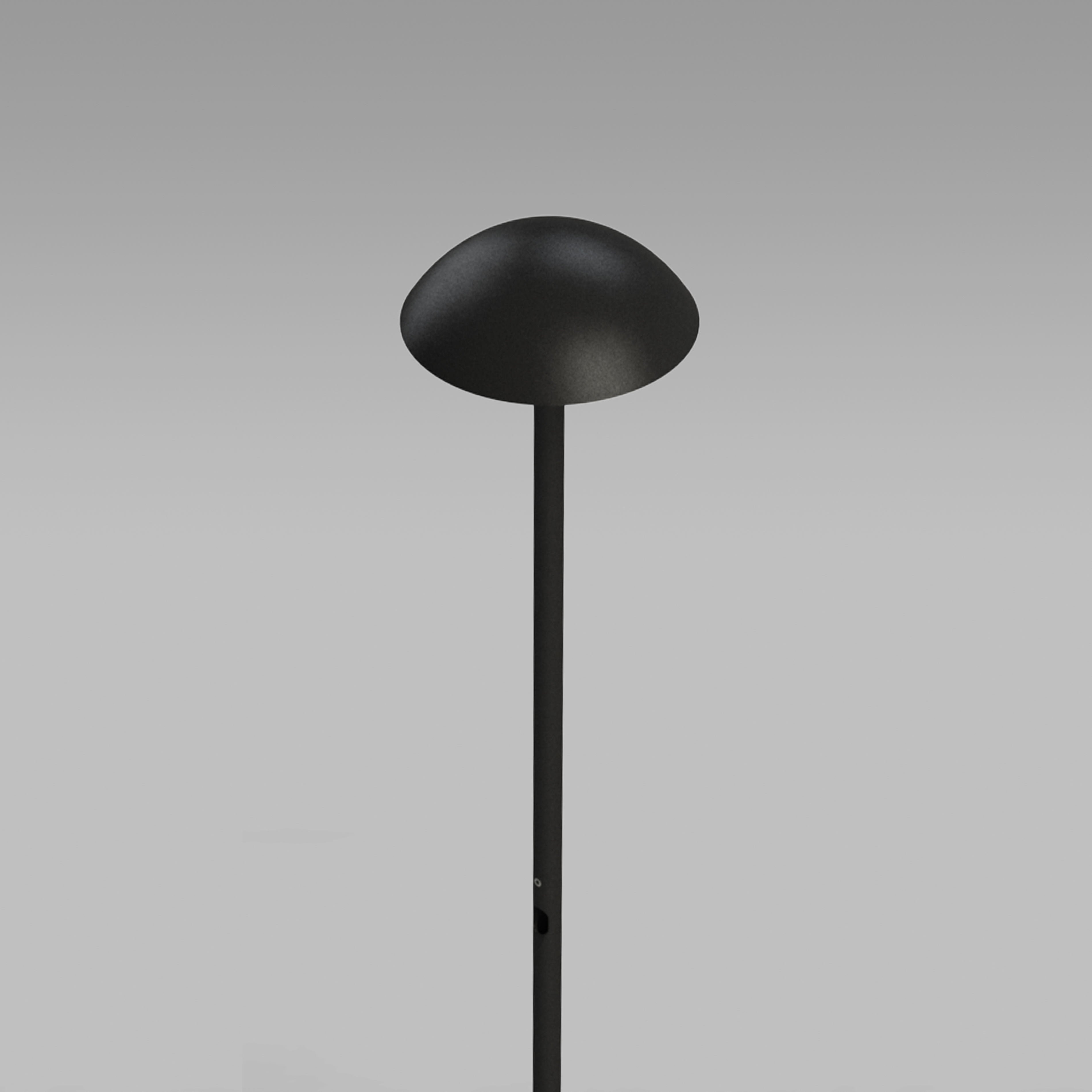 Portobello Black